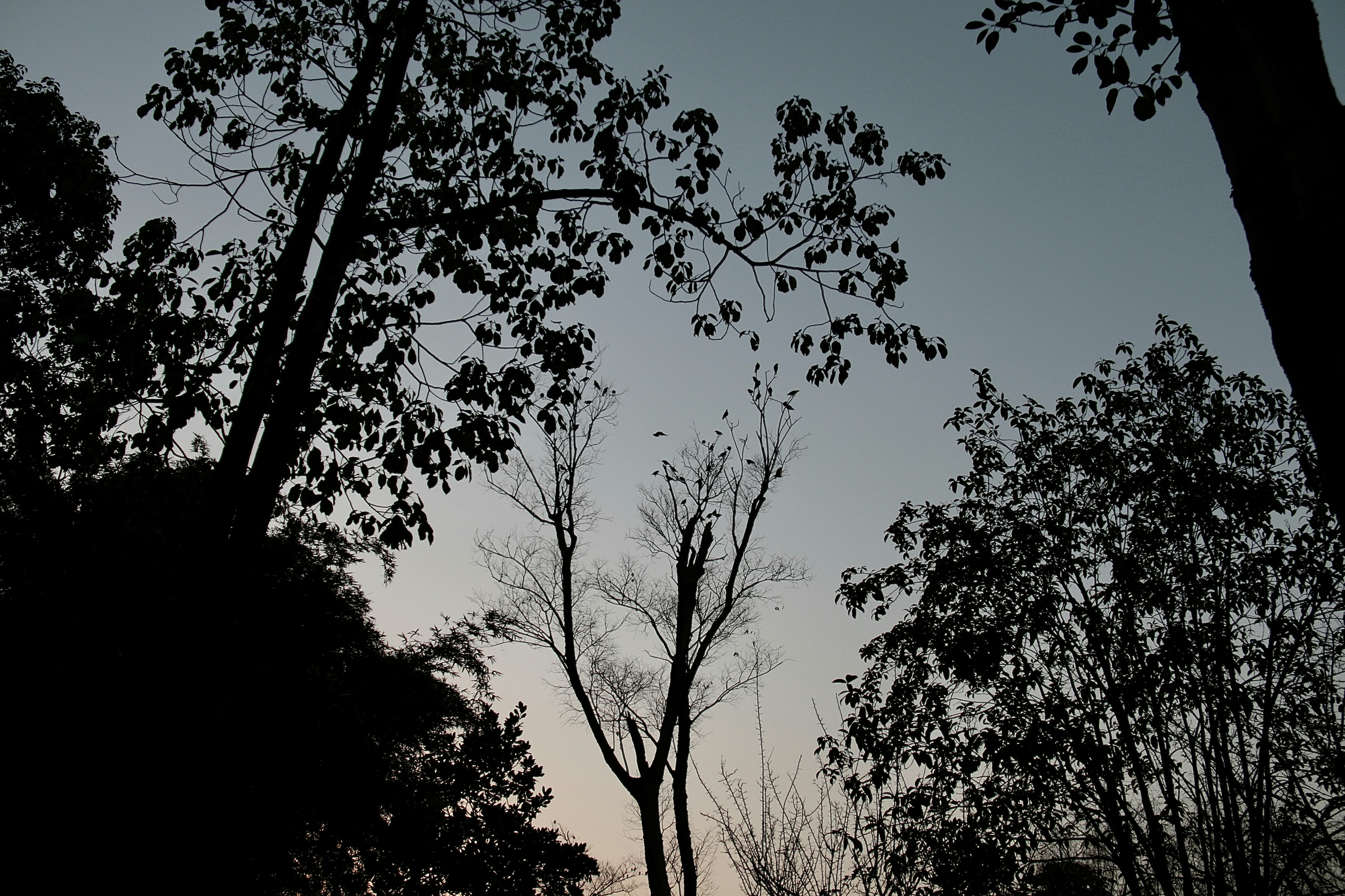 Photo by thundercloudpwp