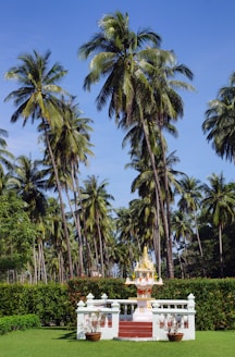 a statue in the middle of a lush green park