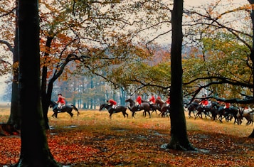 A group of horse riders wearing red jackets are moving through a forested area with large trees. The ground is covered in fallen leaves, and the trees have autumn-colored foliage. The scene is serene yet active, depicting a sense of movement and tradition.