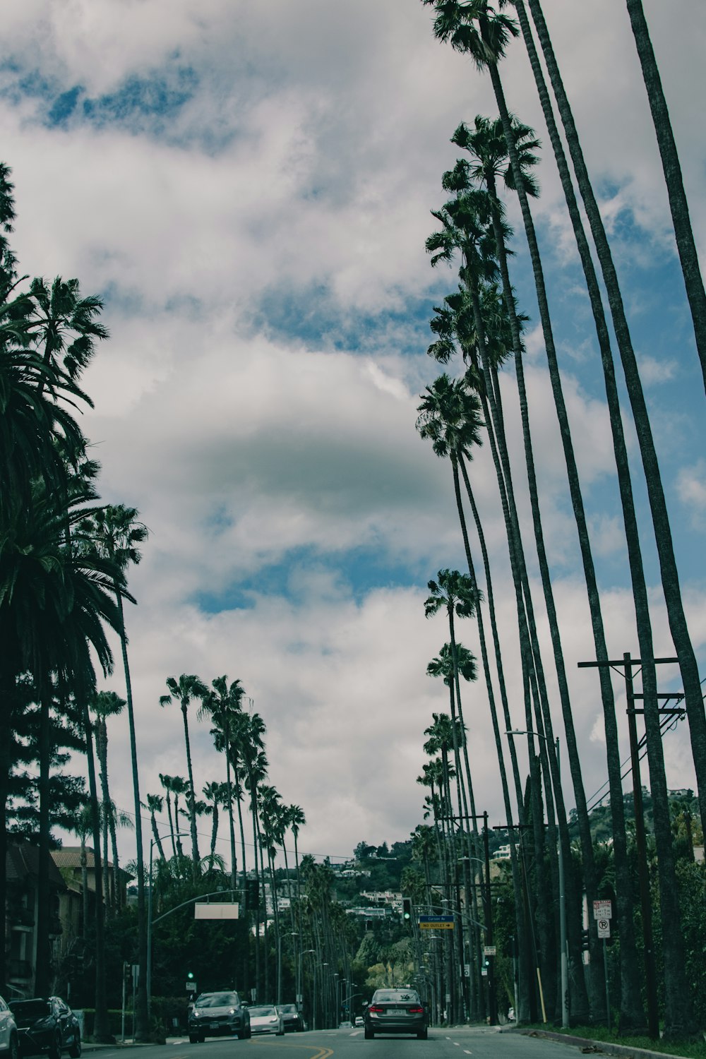 a street lined with tall palm trees under a cloudy blue sky