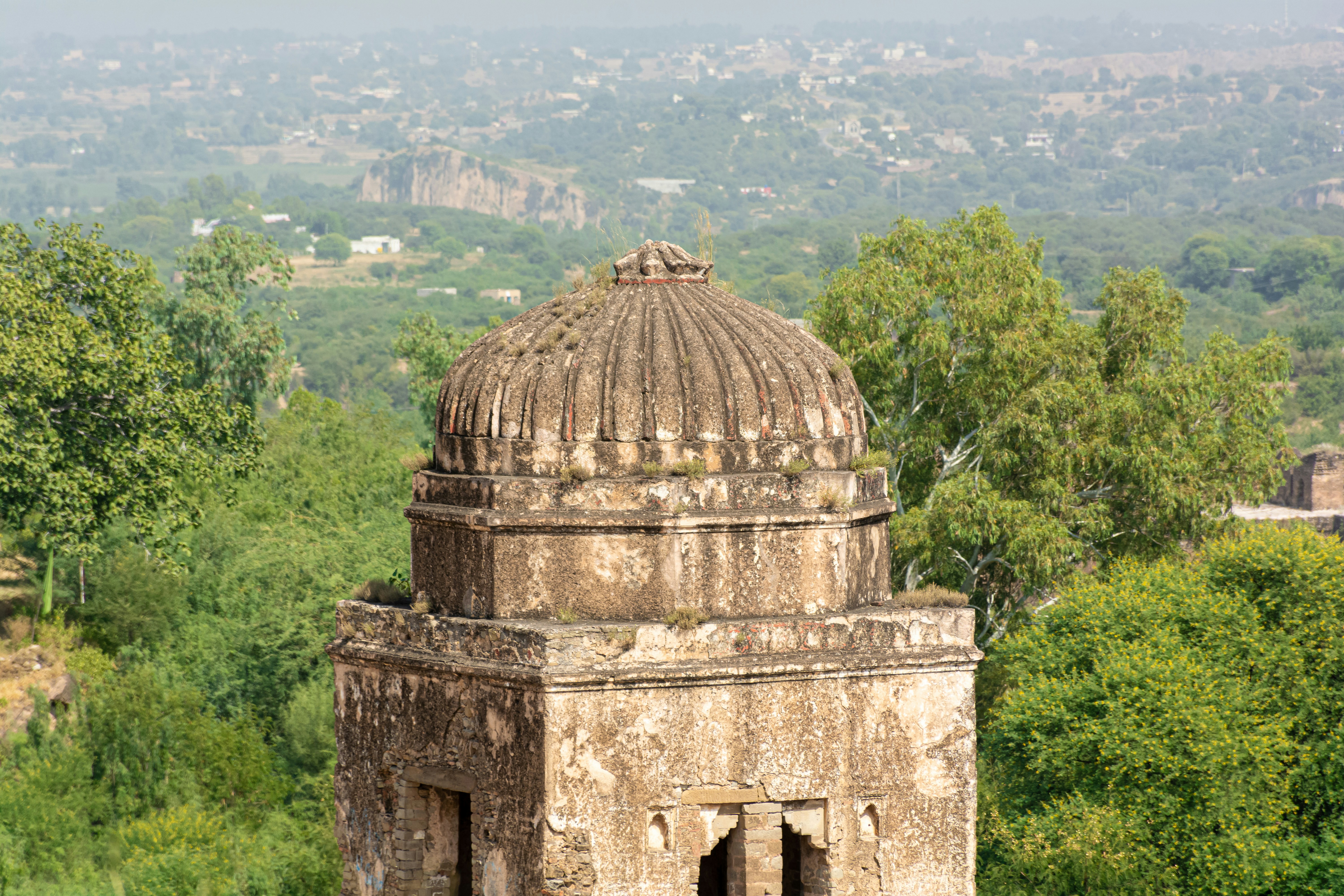 an old building with a dome in the middle of a forest