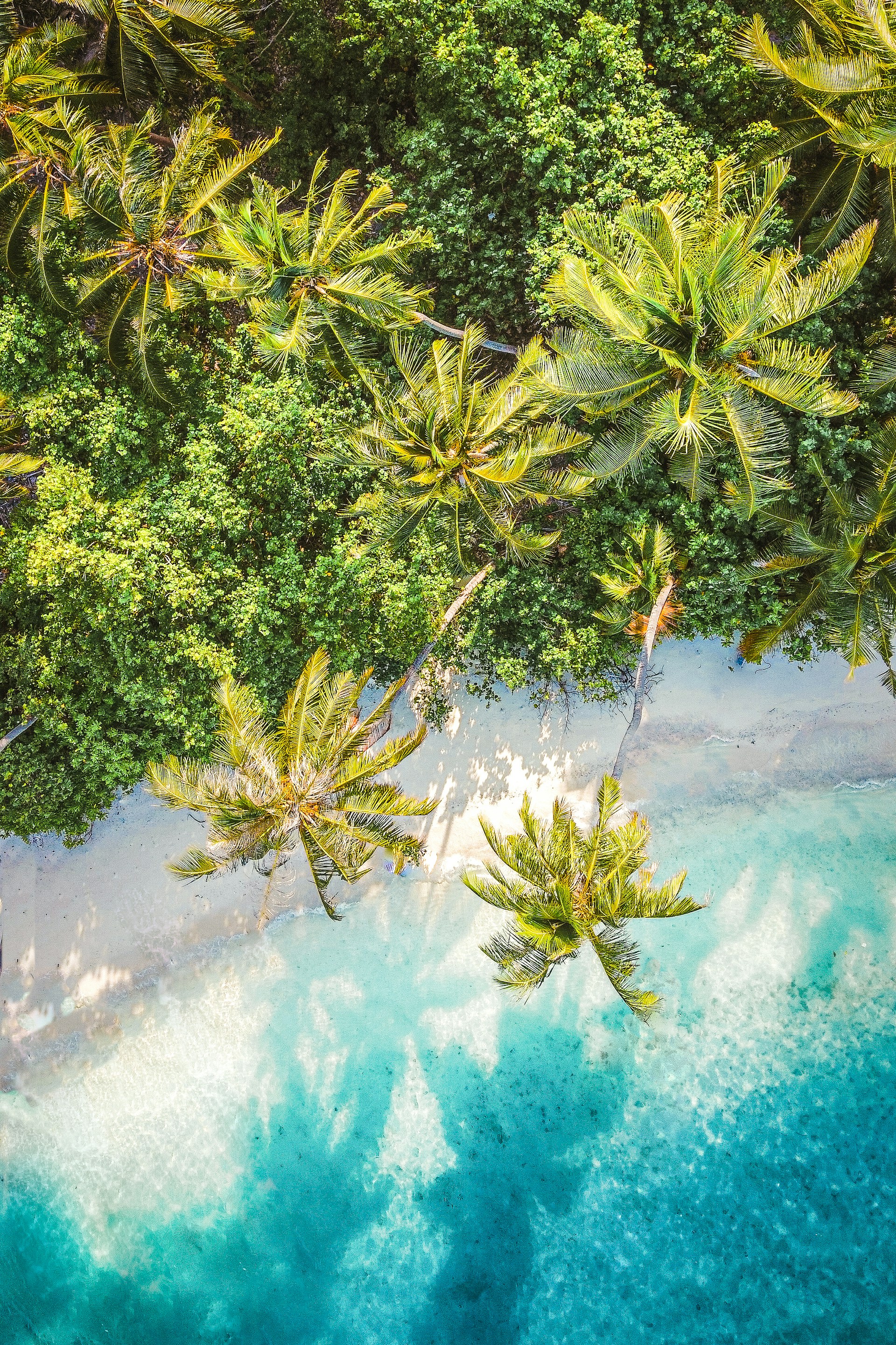 Aerial view of the crystal-clear waters and lush greenery of Palawan, highlighting its natural beauty.