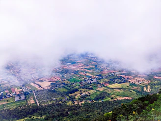 Bird's eye view of multiple terraced plots in a peaceful rural setting.