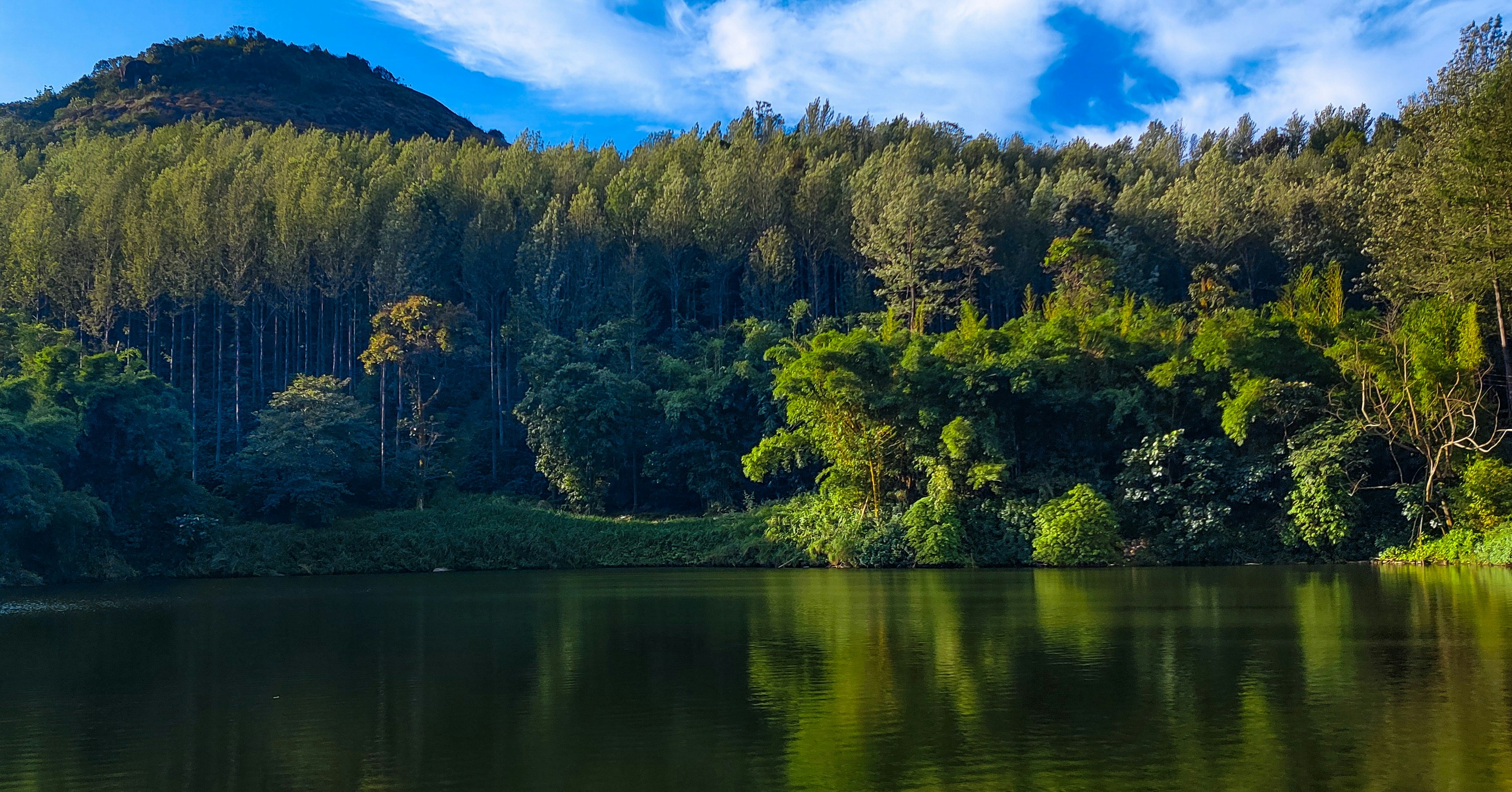 Photo by rameshgowda