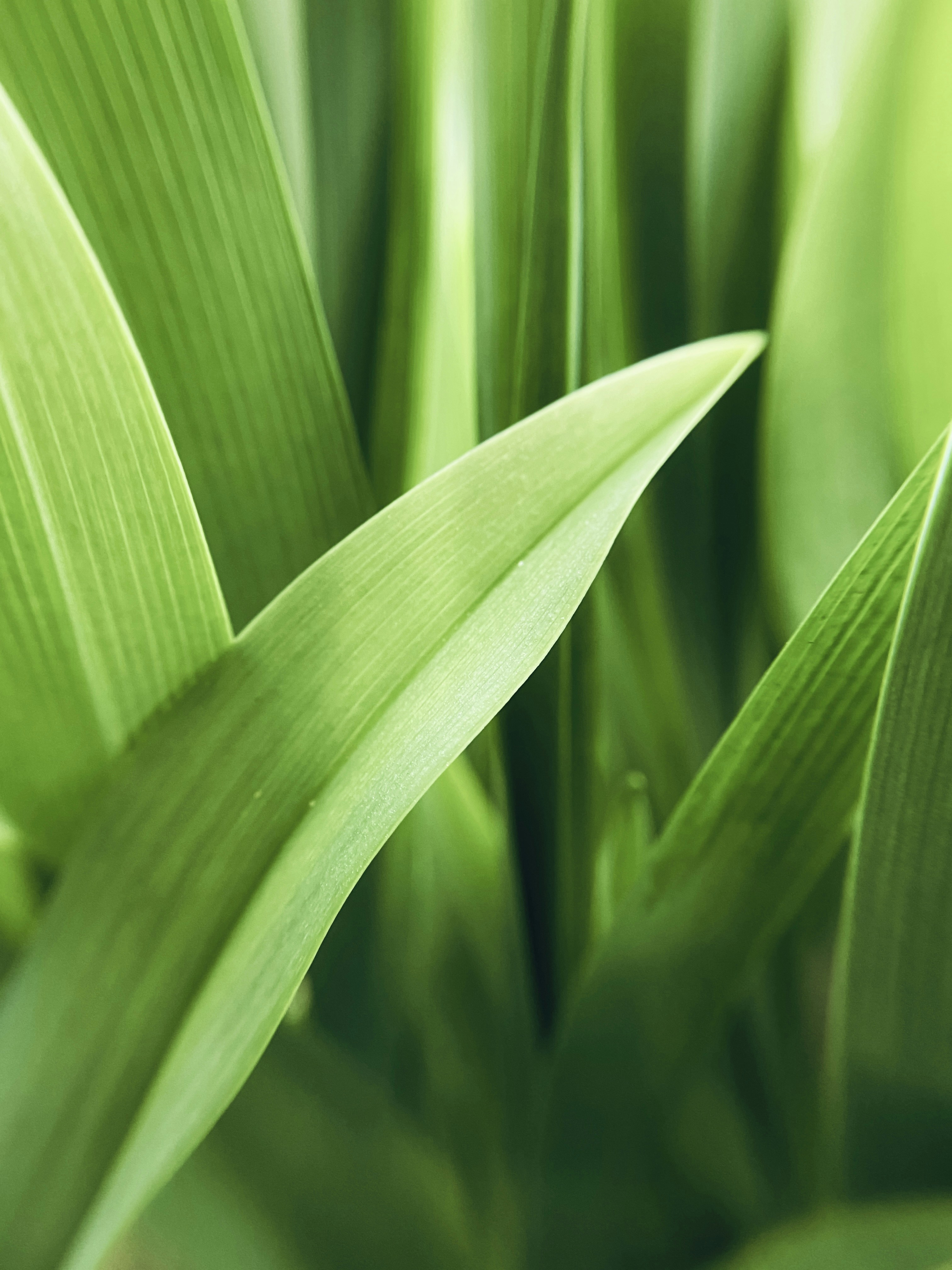 Photo by eugene_golovesov