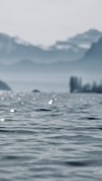 A serene outdoor scene from a documentary-style film, showing nature’s calm beauty.