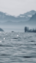 A serene water landscape showcasing nature's beauty.