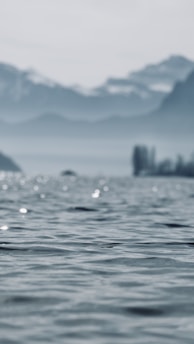 A calming scene of a peaceful nature landscape.