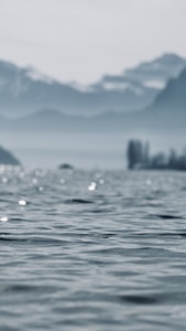 A serene landscape featuring a calm body of water with gentle ripples. In the background, there are misty mountains and a hazy sky, creating a tranquil and peaceful environment. The scene captures the quiet beauty of nature.
