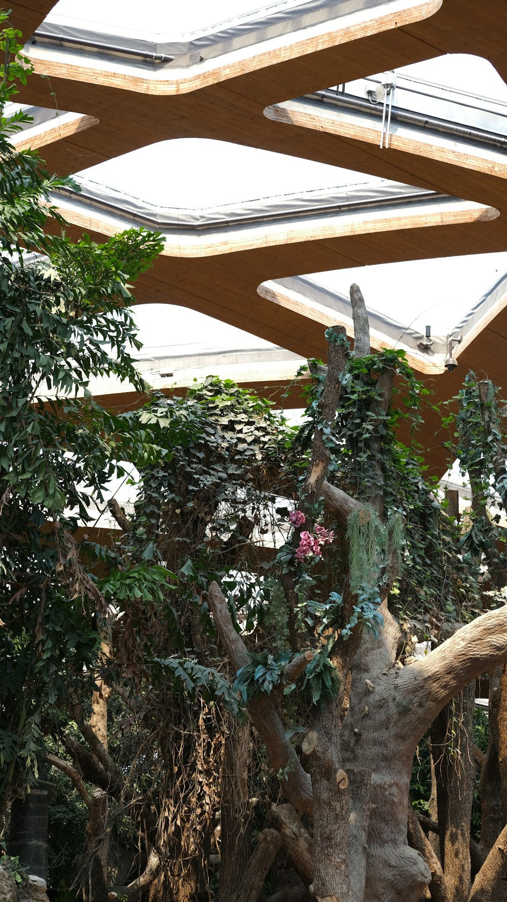 a giraffe standing next to a tree under a roof