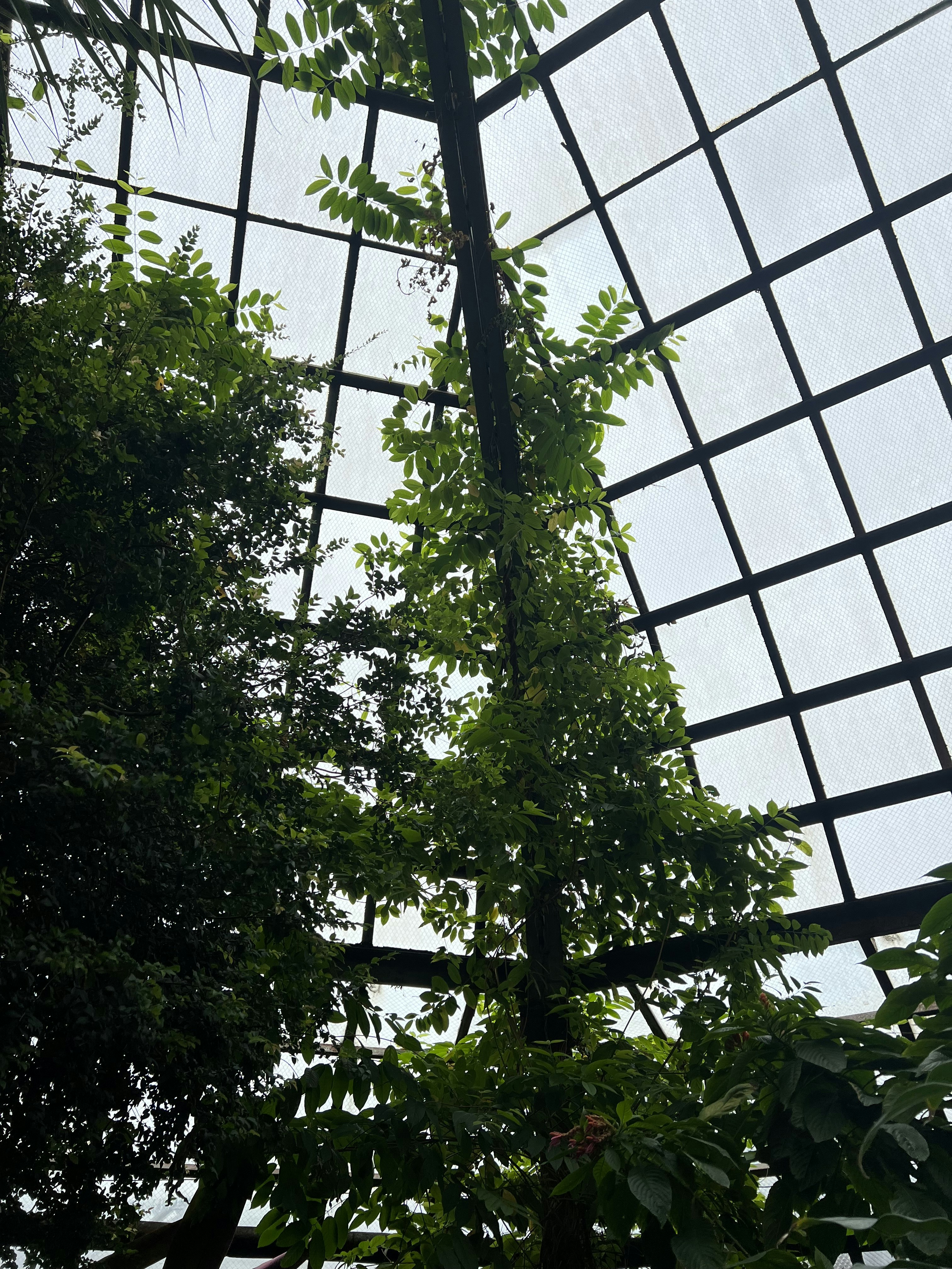 Photo by sarahspcreates