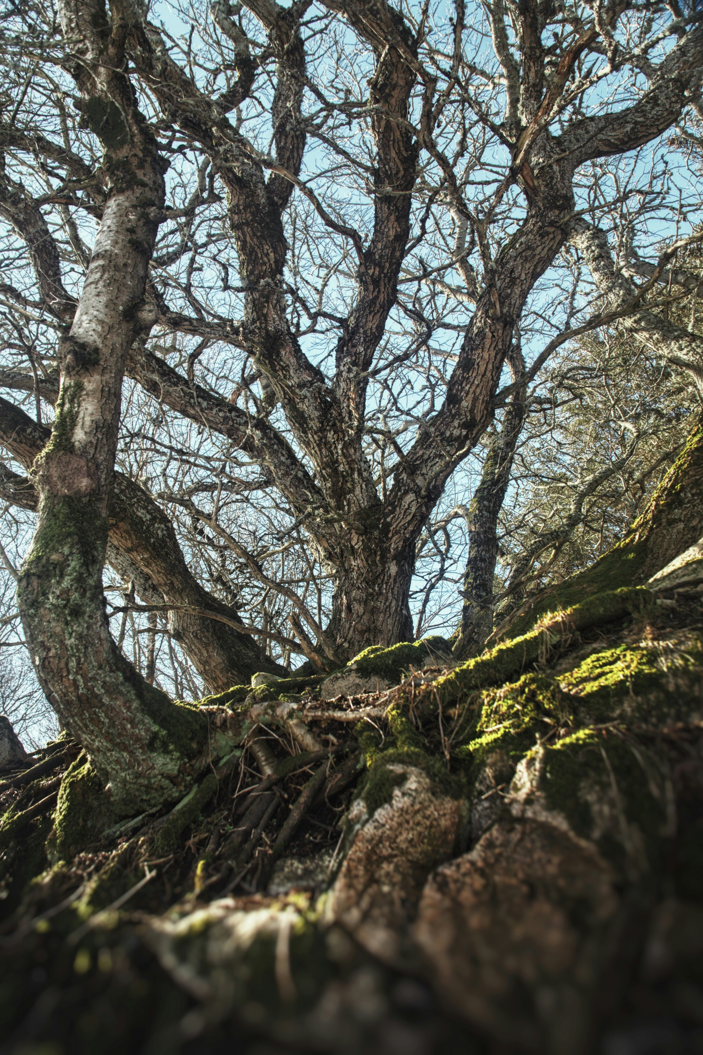 Photo by kristinokarlsen