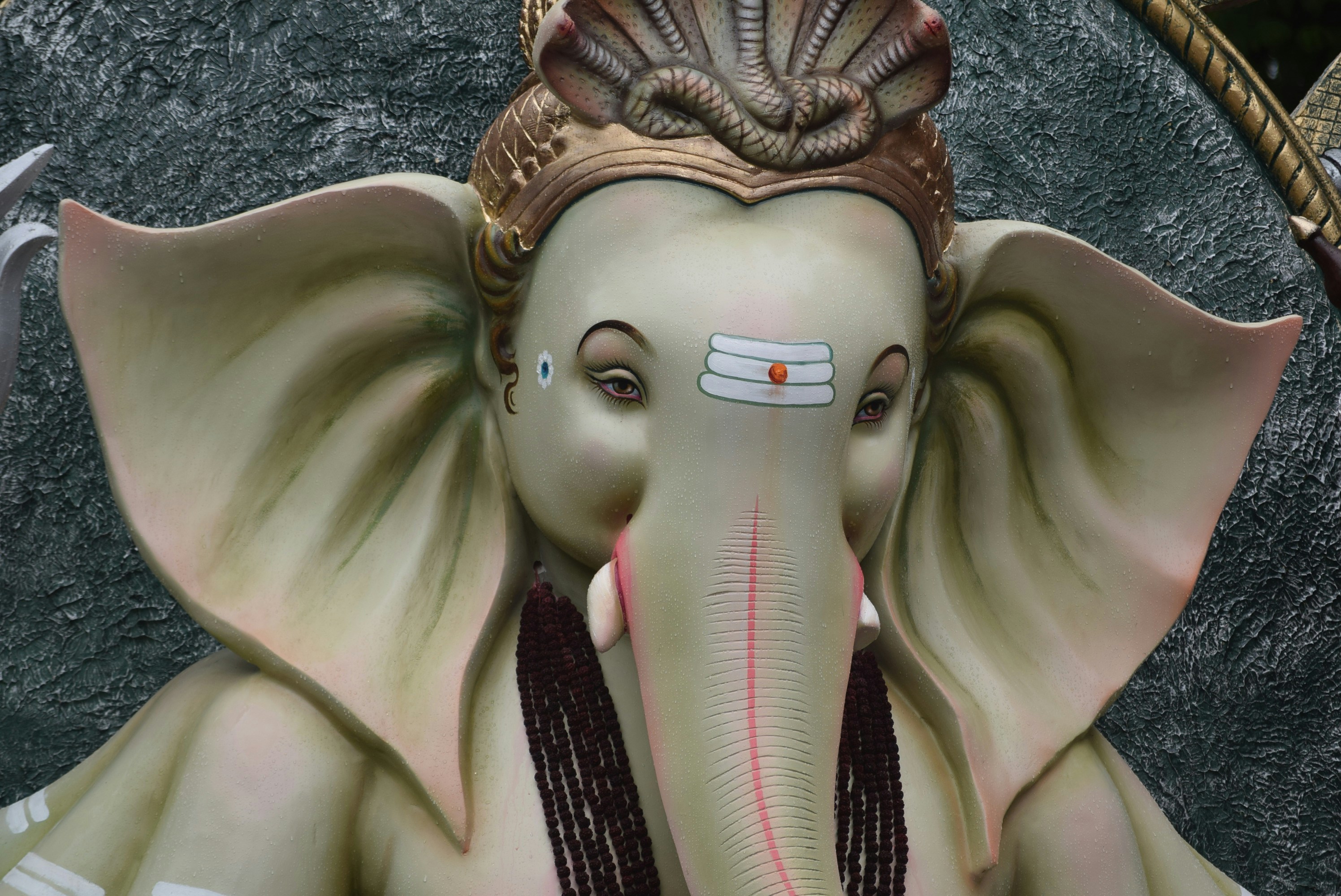 Photo by vishalpanchal96