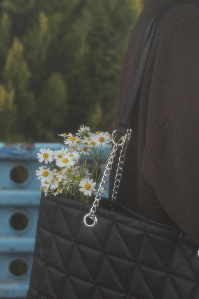 Chain Shoulder Bag