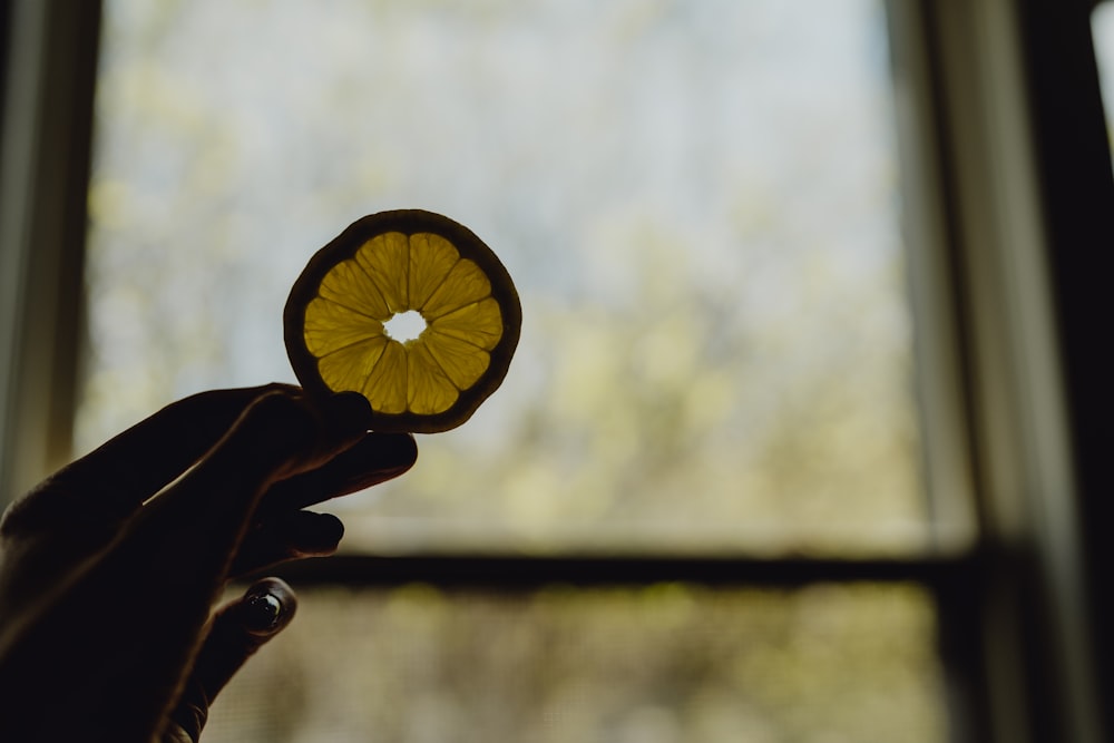 a person holding a yellow flower in front of a window