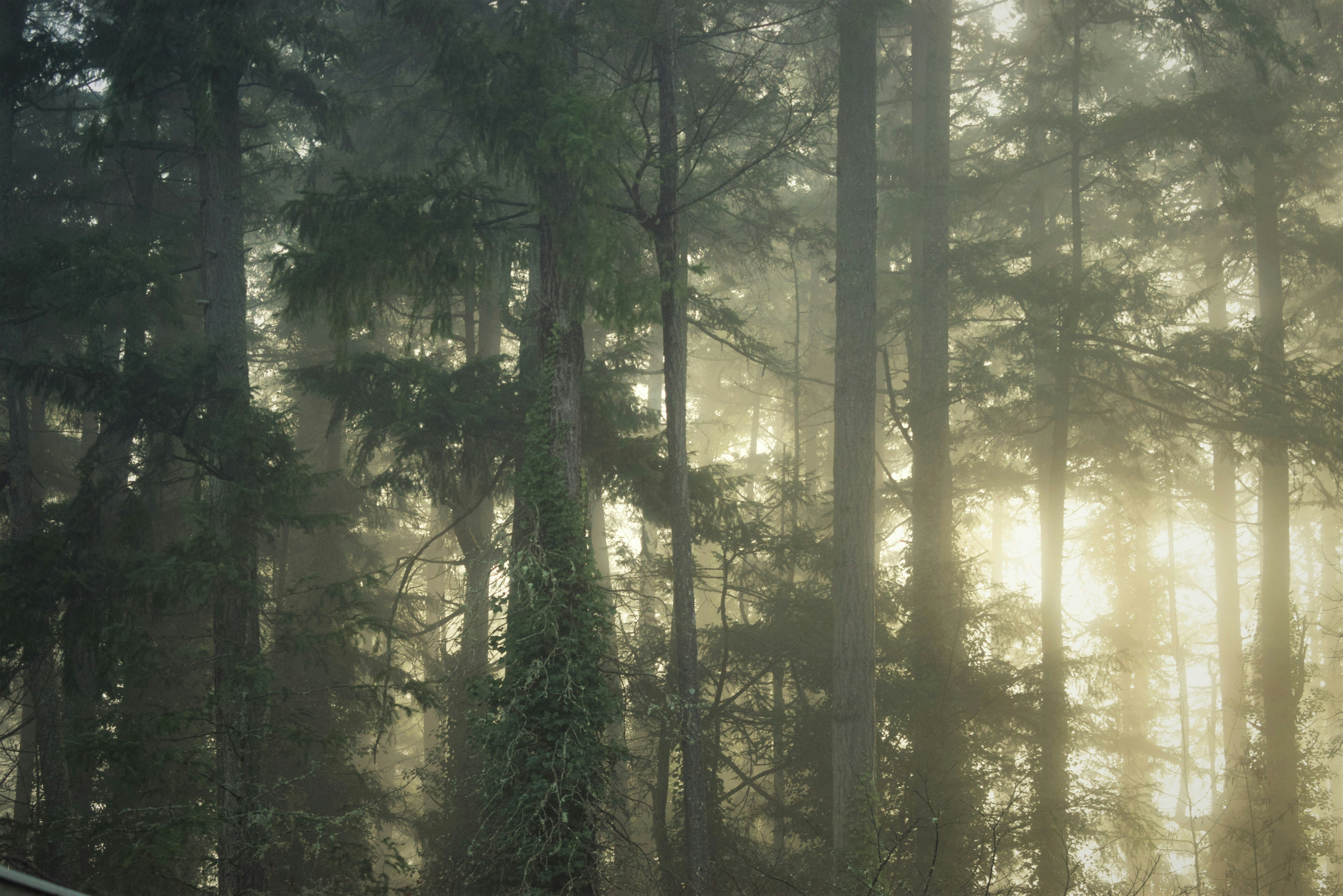 The First 30 Minutes