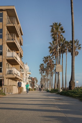 Coastal pathway lined with palm trees and low-density residential homes.