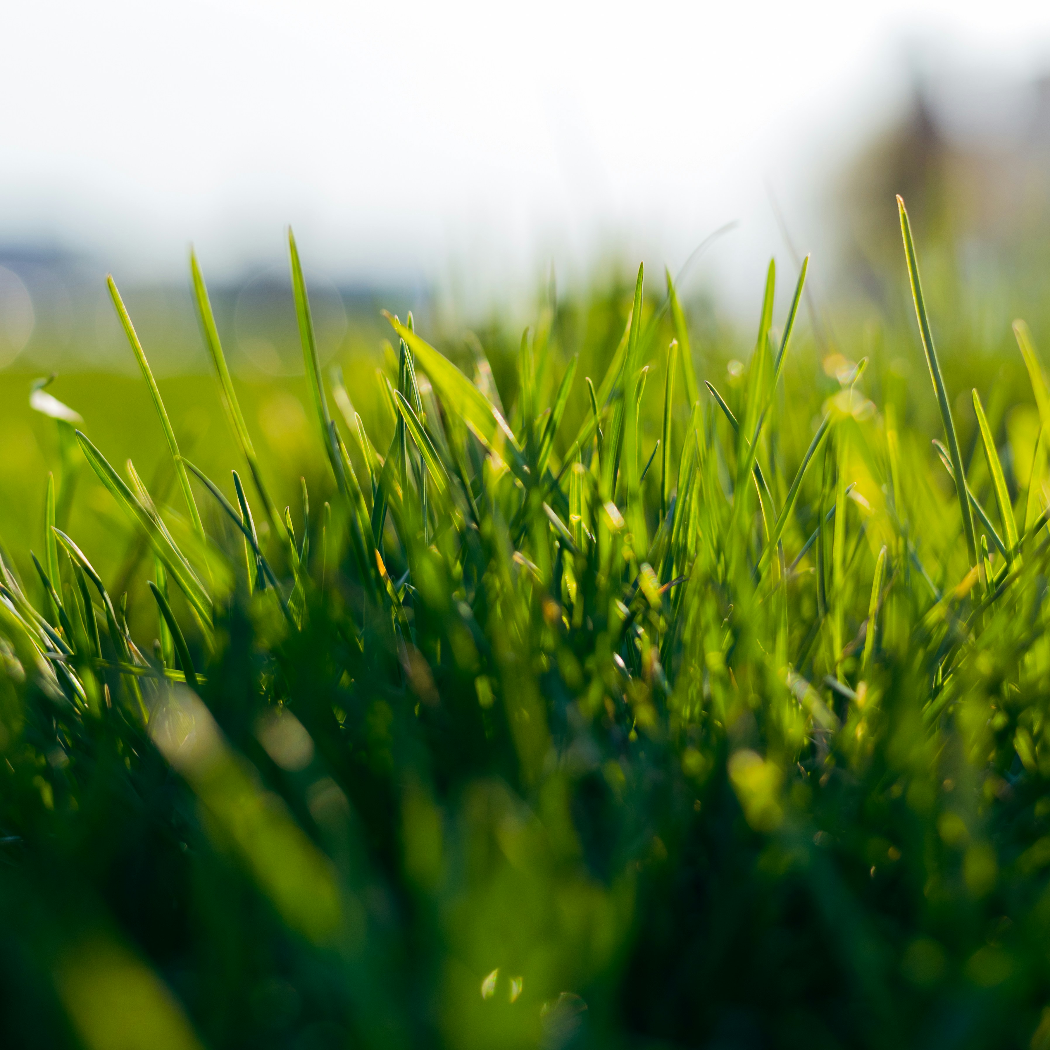 Understanding Green Solar Energy: How It Powers Your World