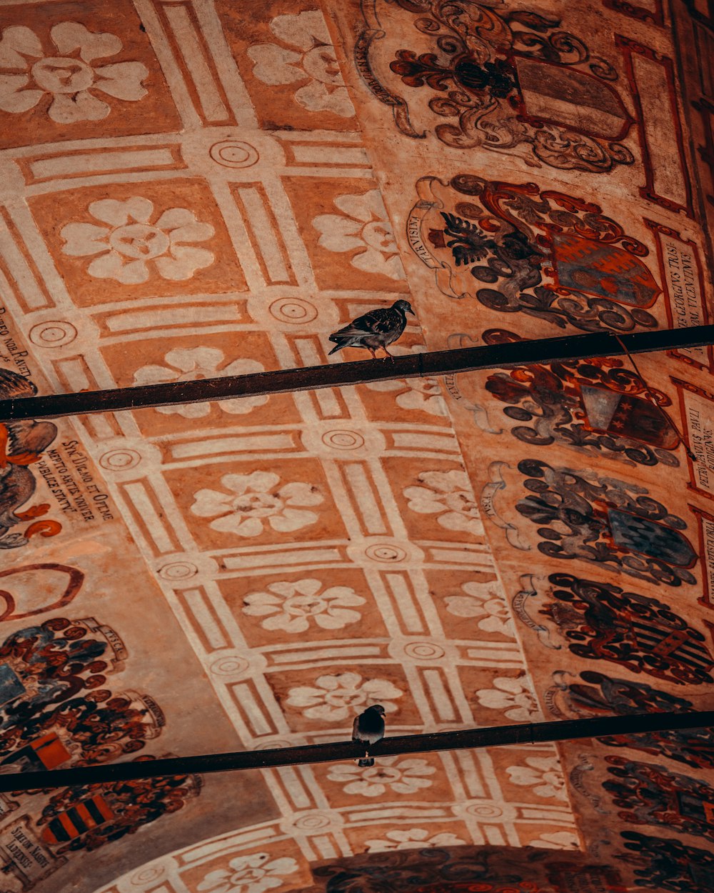 a couple of birds sitting on top of a ceiling