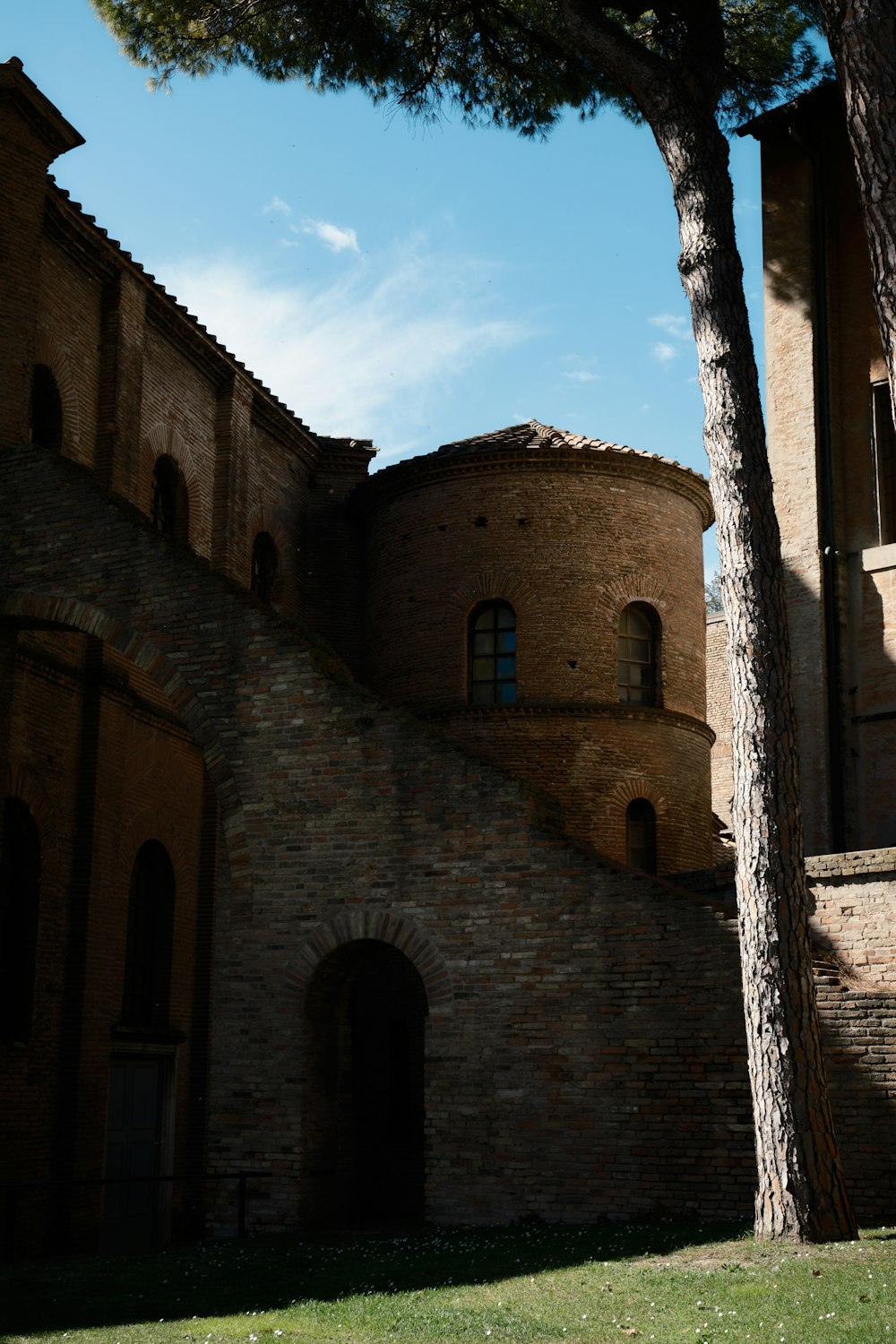 a tree in front of a brick building