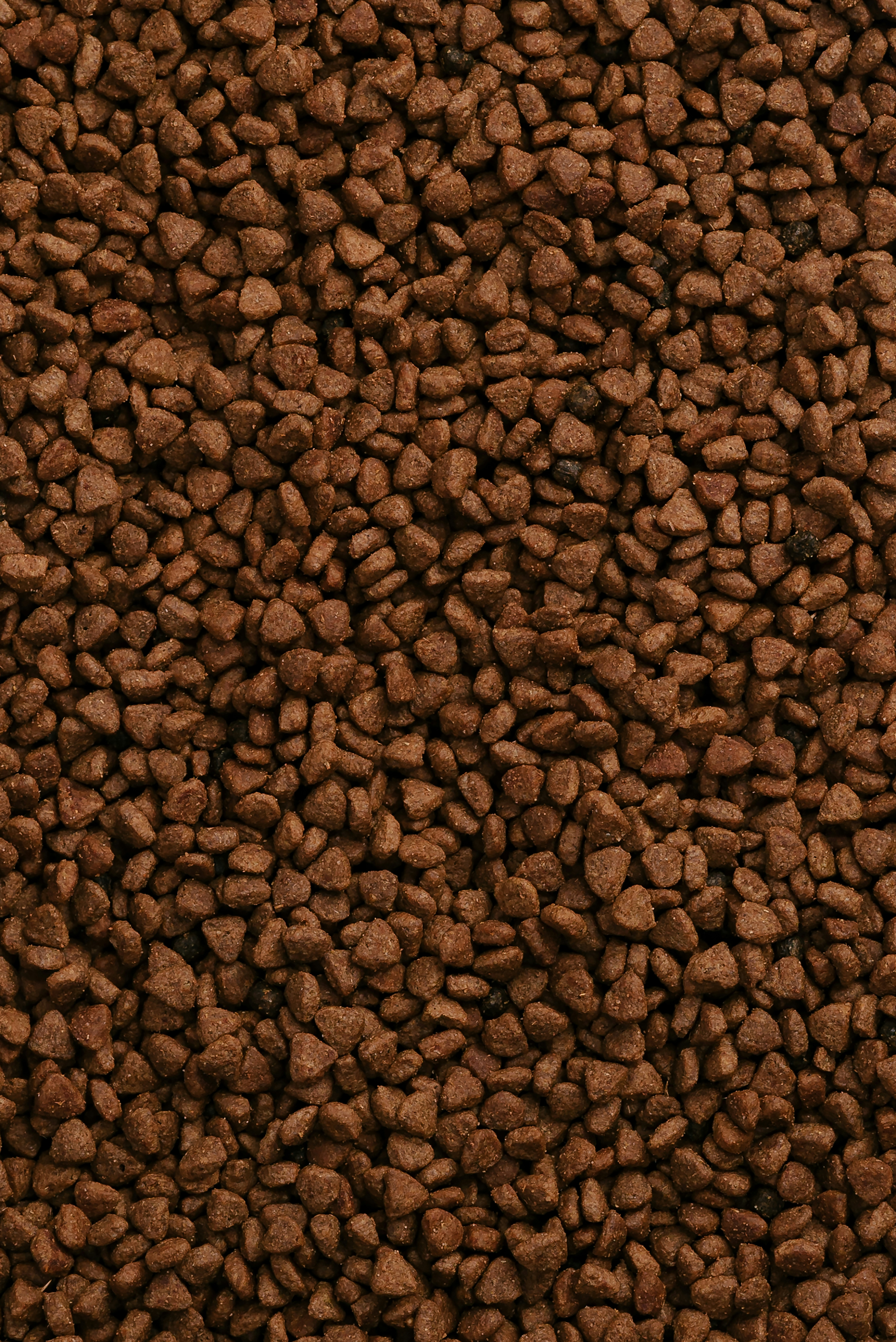 a close up of a pile of brown rocks