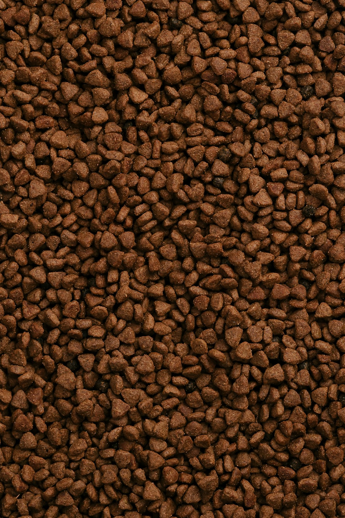 How to Actually Read a Pet Food Label (Most People Read It Backwards)