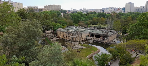 A scenic view of a zoo or wildlife sanctuary featuring a large enclosure with wooden structures, possibly for primates. There are lush green trees surrounding the enclosure and a clear pathway is visible. Beyond the trees, there are multiple high-rise buildings indicating an urban setting.