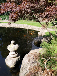 A tranquil pond features large koi fish swimming gracefully beneath the surface. Surrounding the water are smooth stones, and a decorative stone lantern stands partially submerged. A branch with deep red leaves extends over the pond, casting gentle shadows. The lush greenery in the background adds to the serene ambiance.