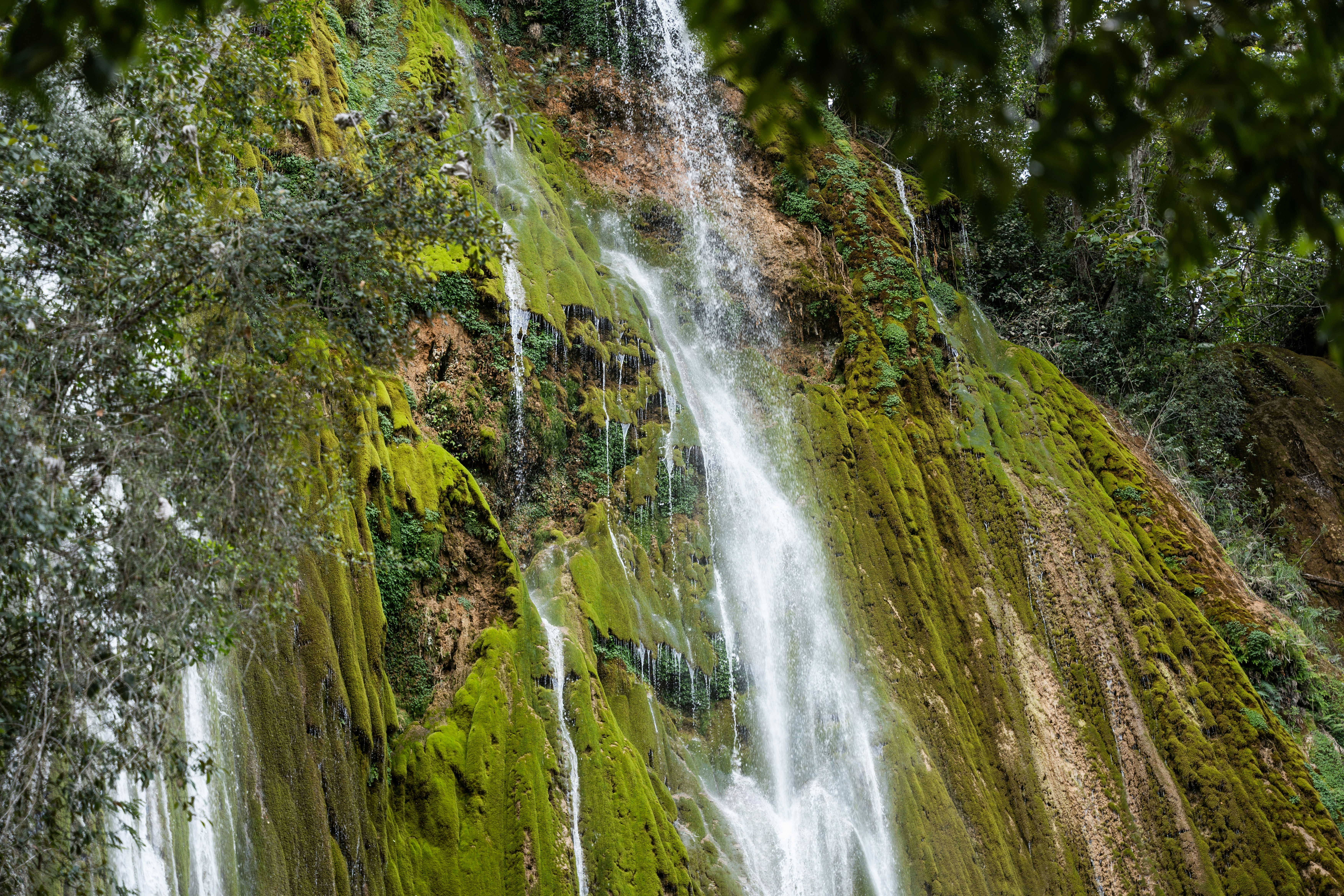 Photo by rvargasphoto