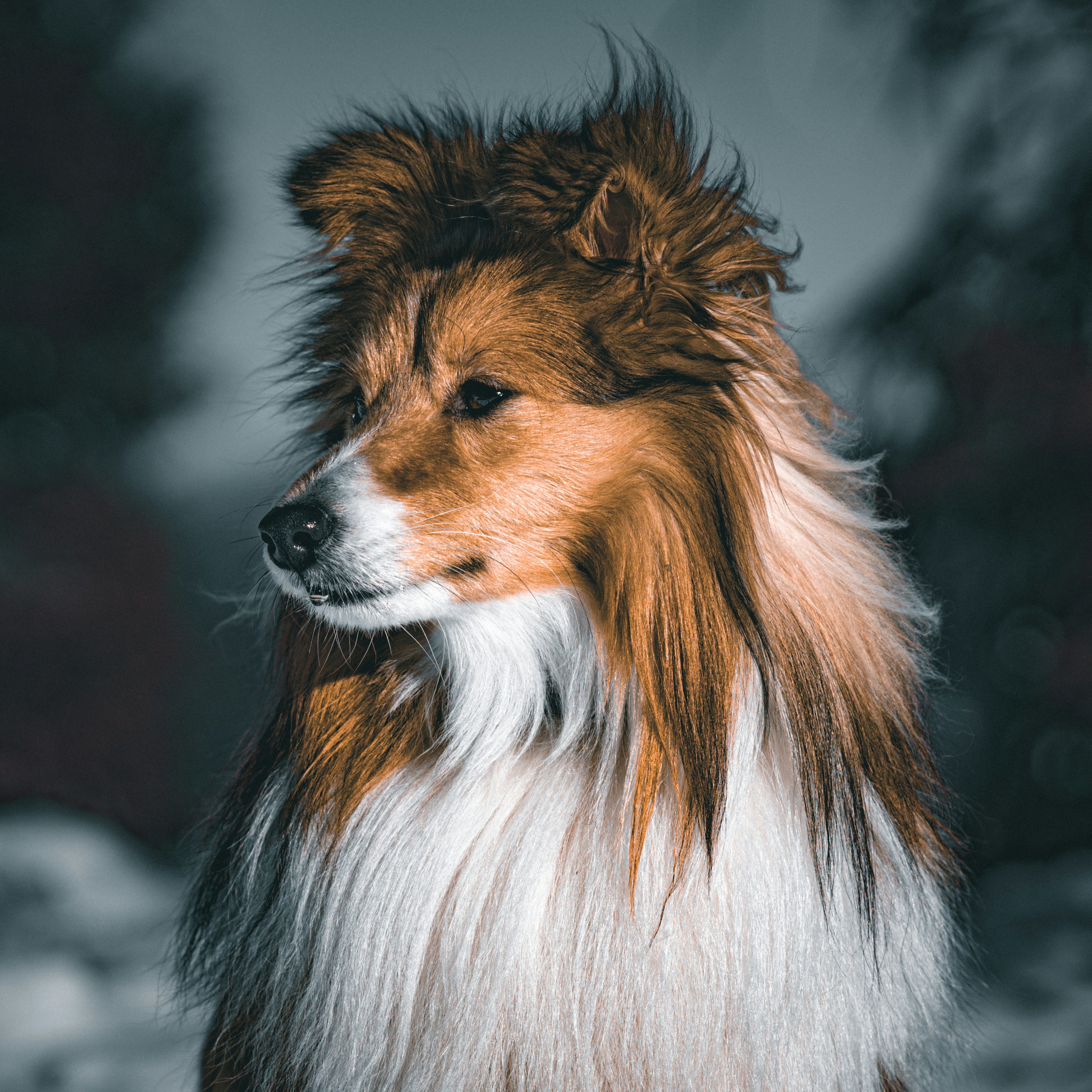 Photo by julesvisuals