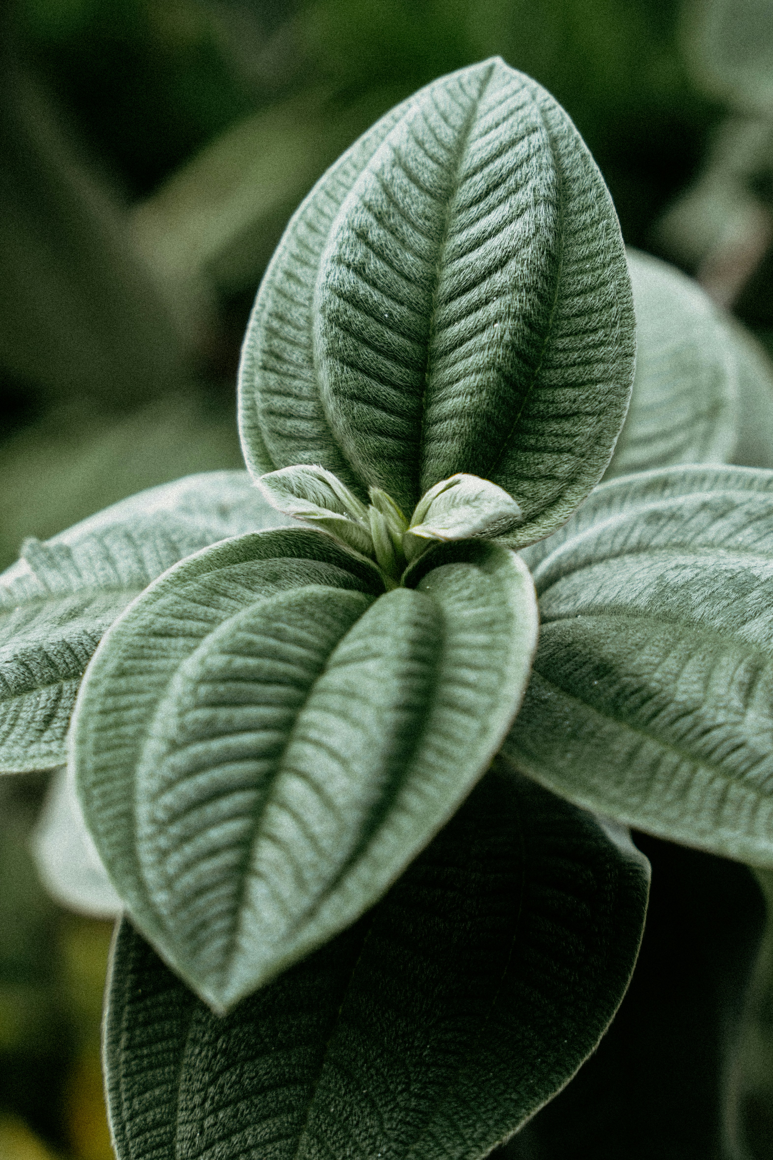 Photo by rvargasphoto