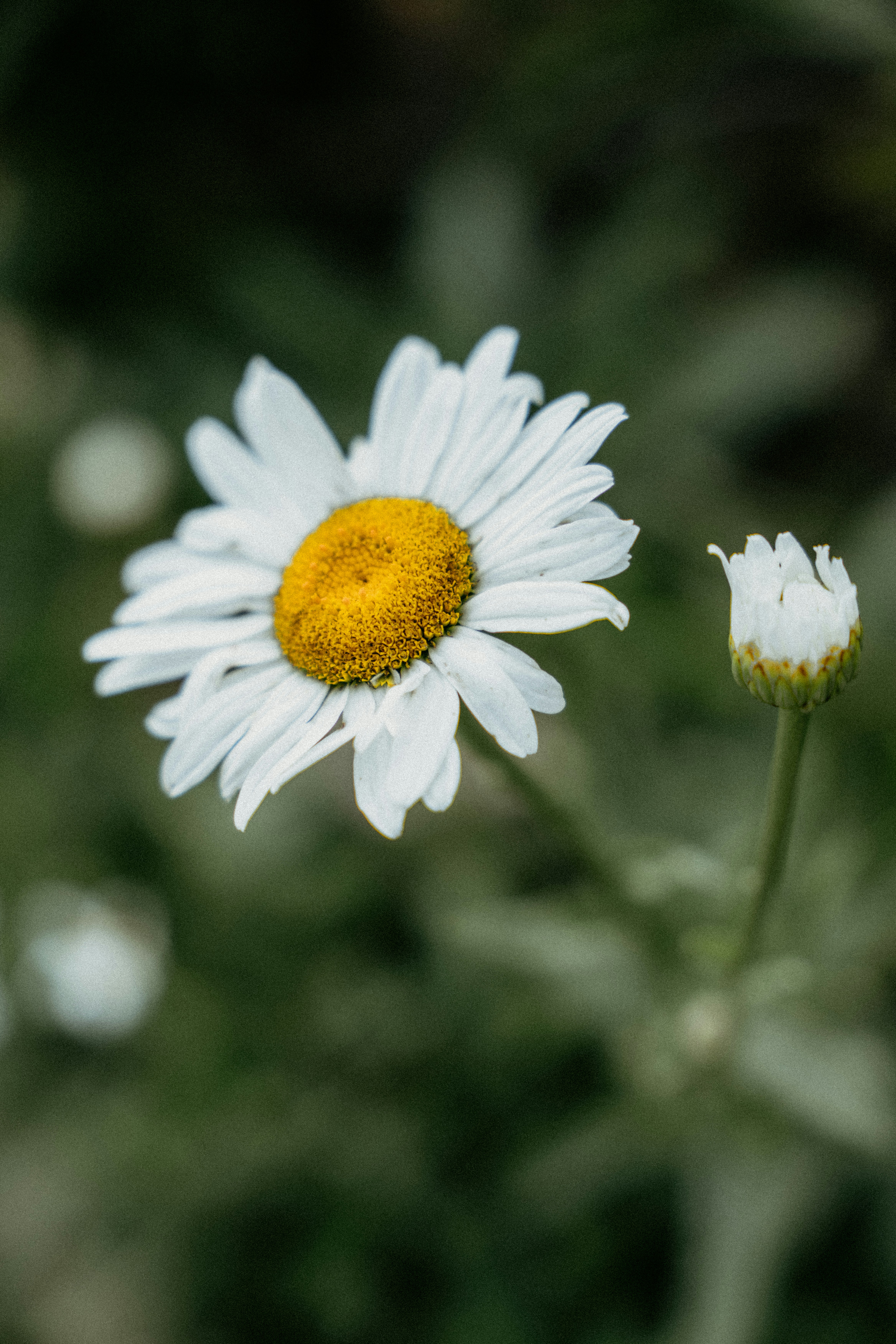 Photo by rvargasphoto