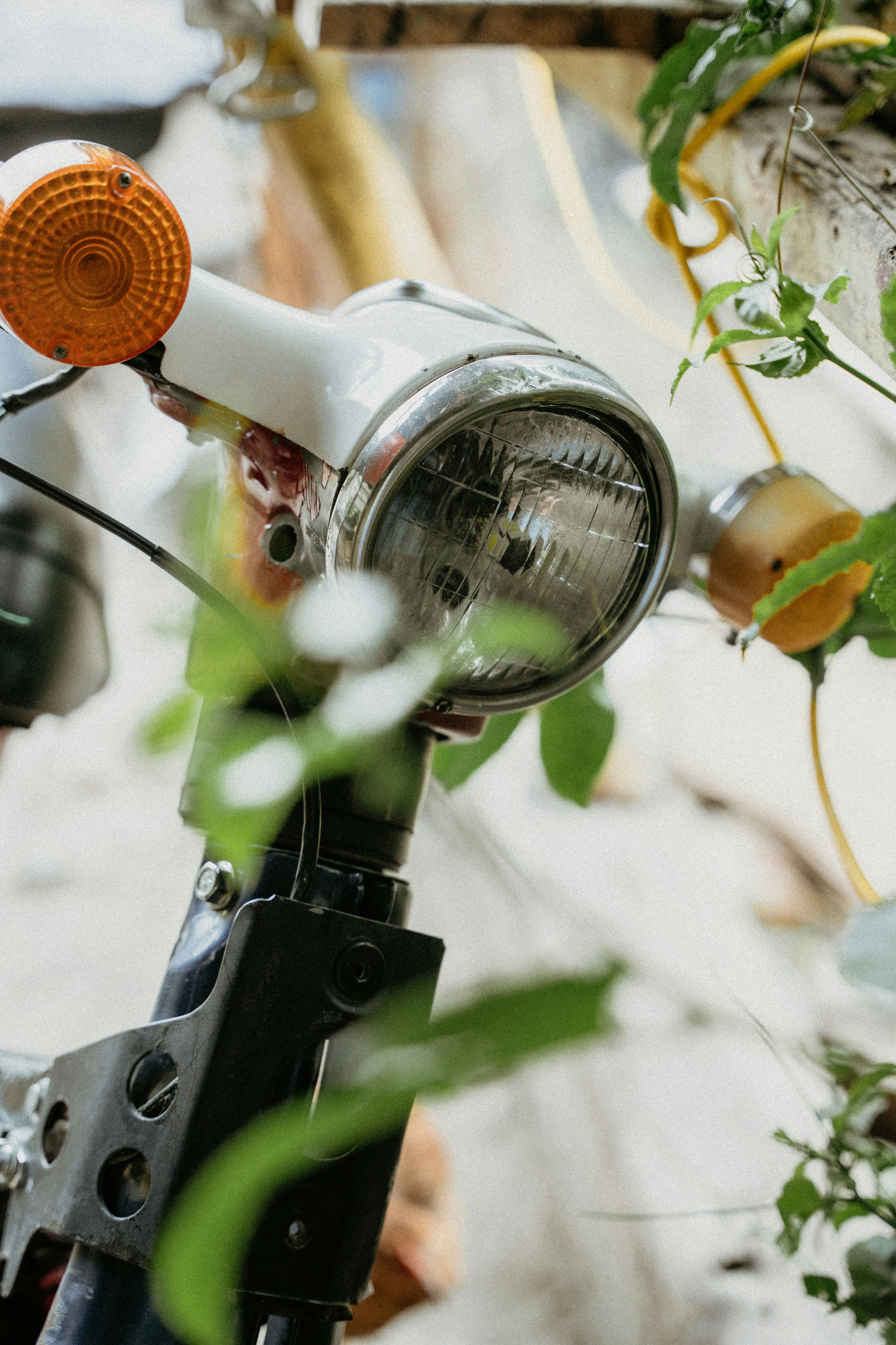 Photo by rvargasphoto