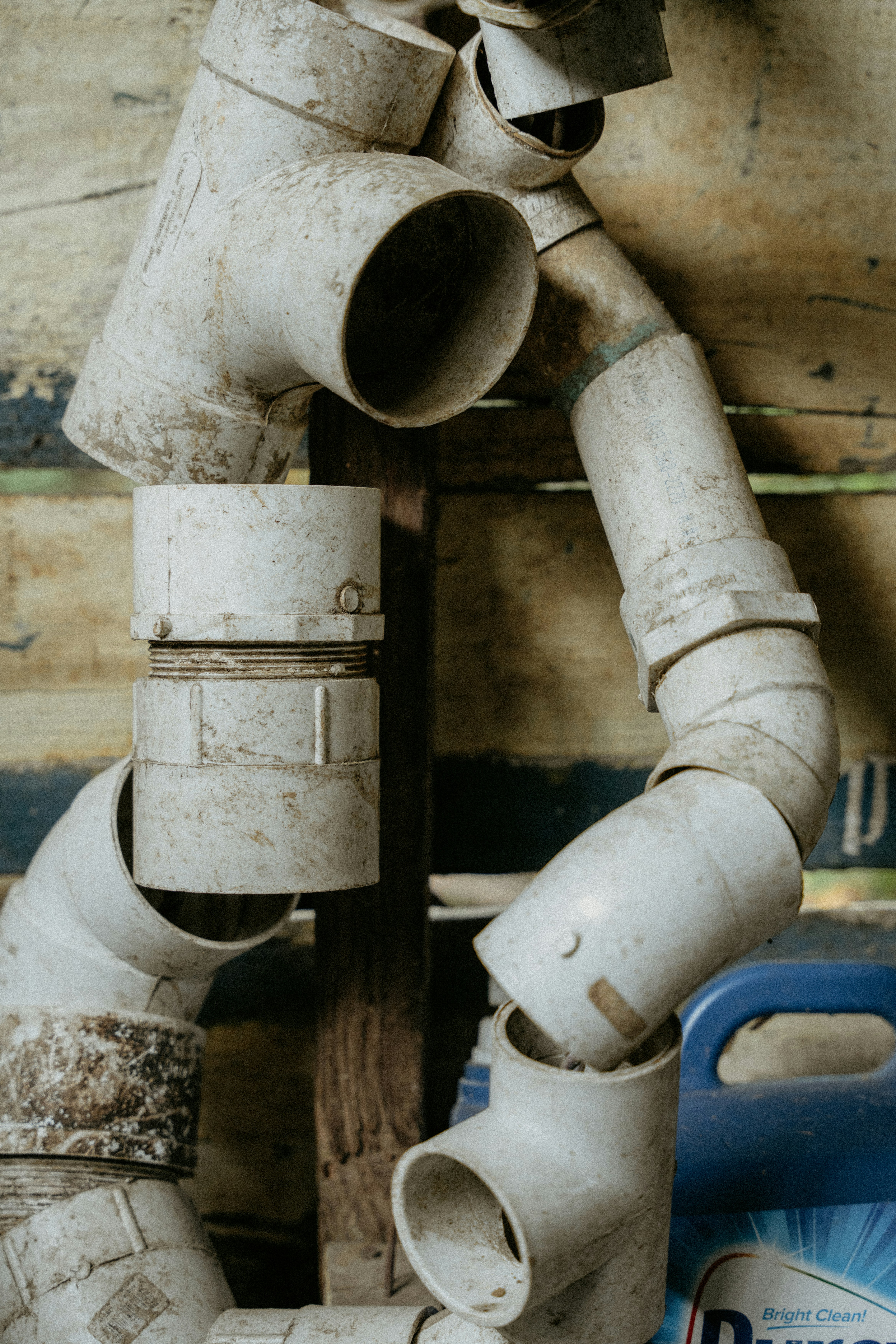 Photo by rvargasphoto