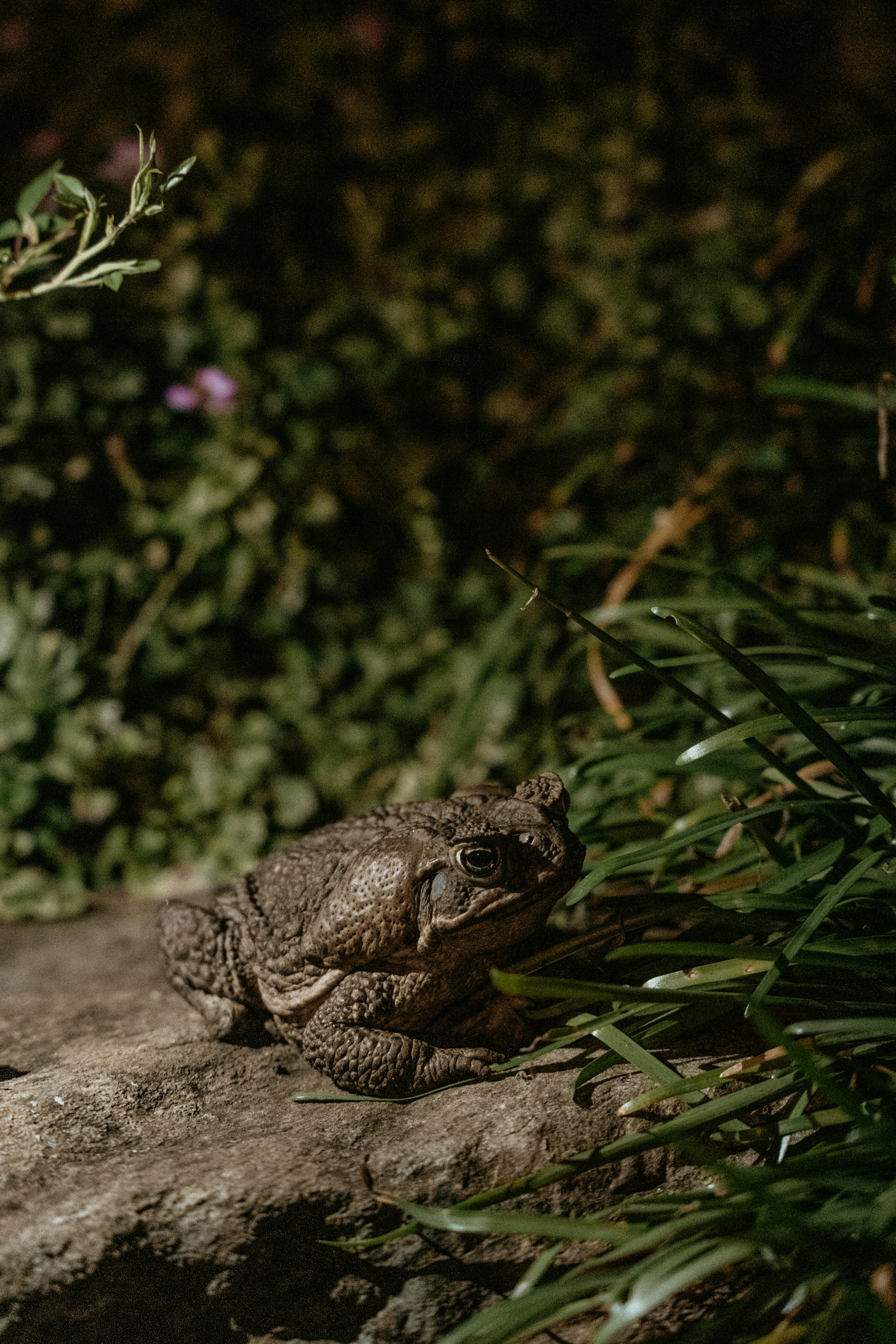 Photo by rvargasphoto