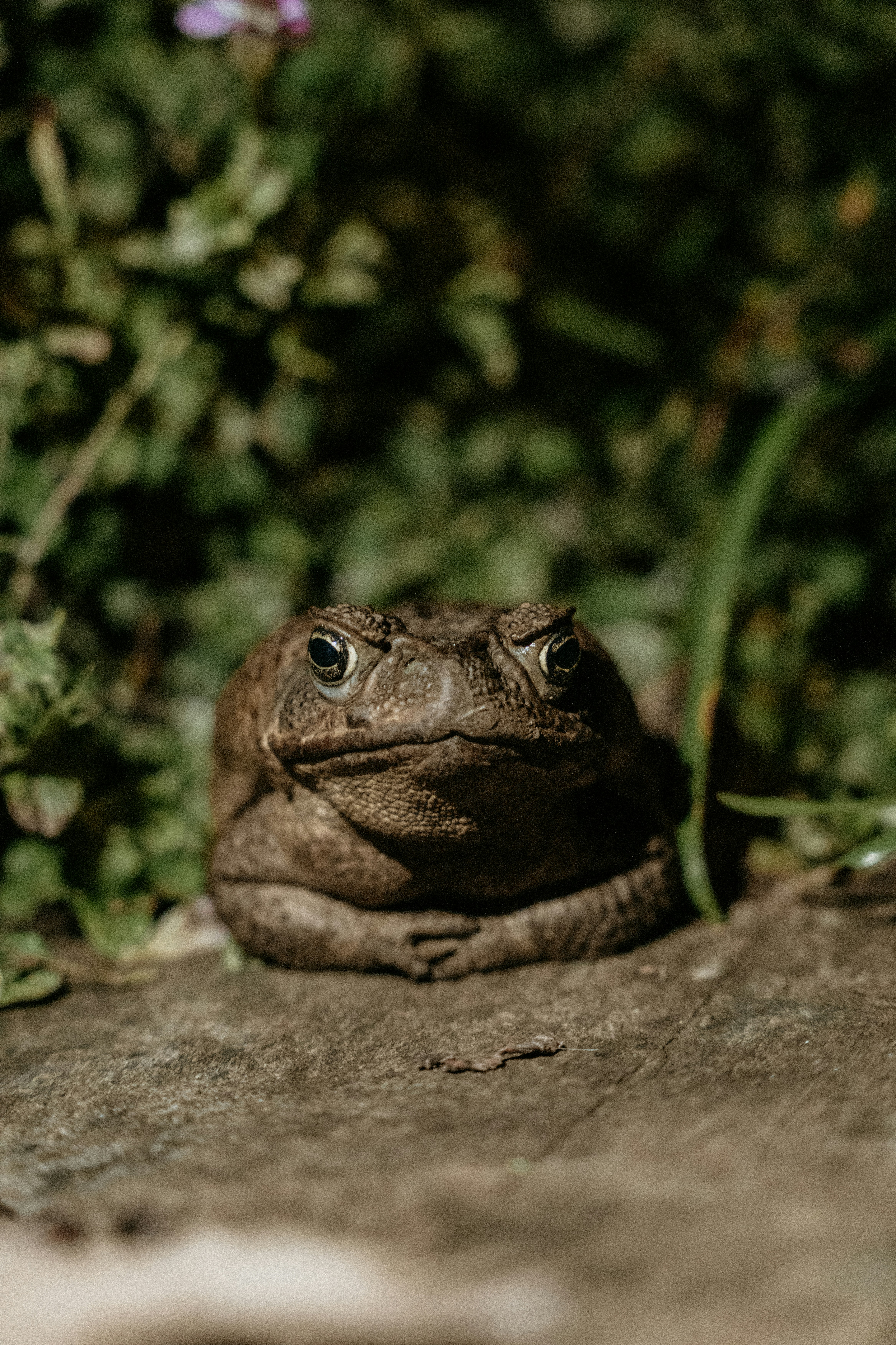 Photo by rvargasphoto