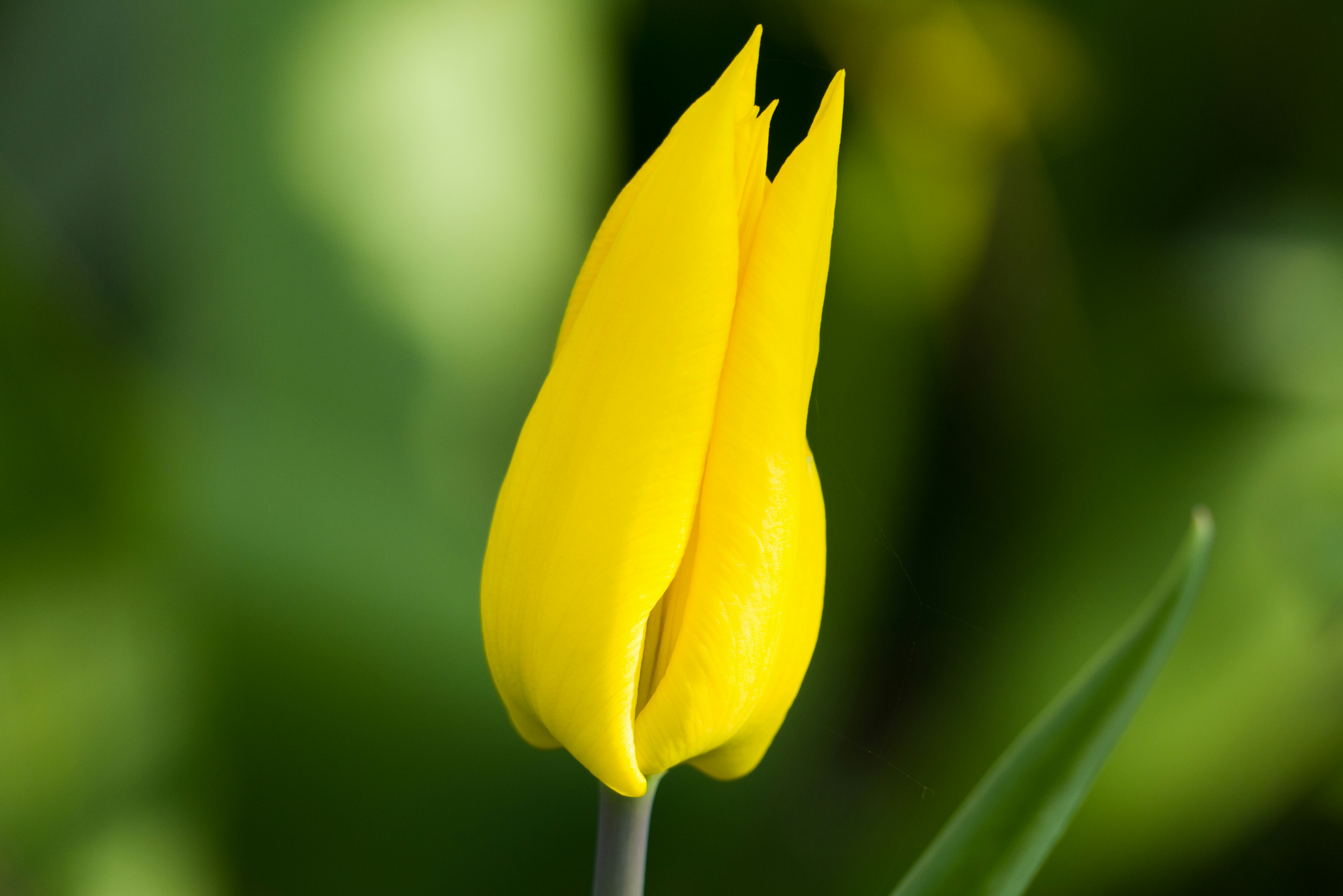 Photo by georgeiermann