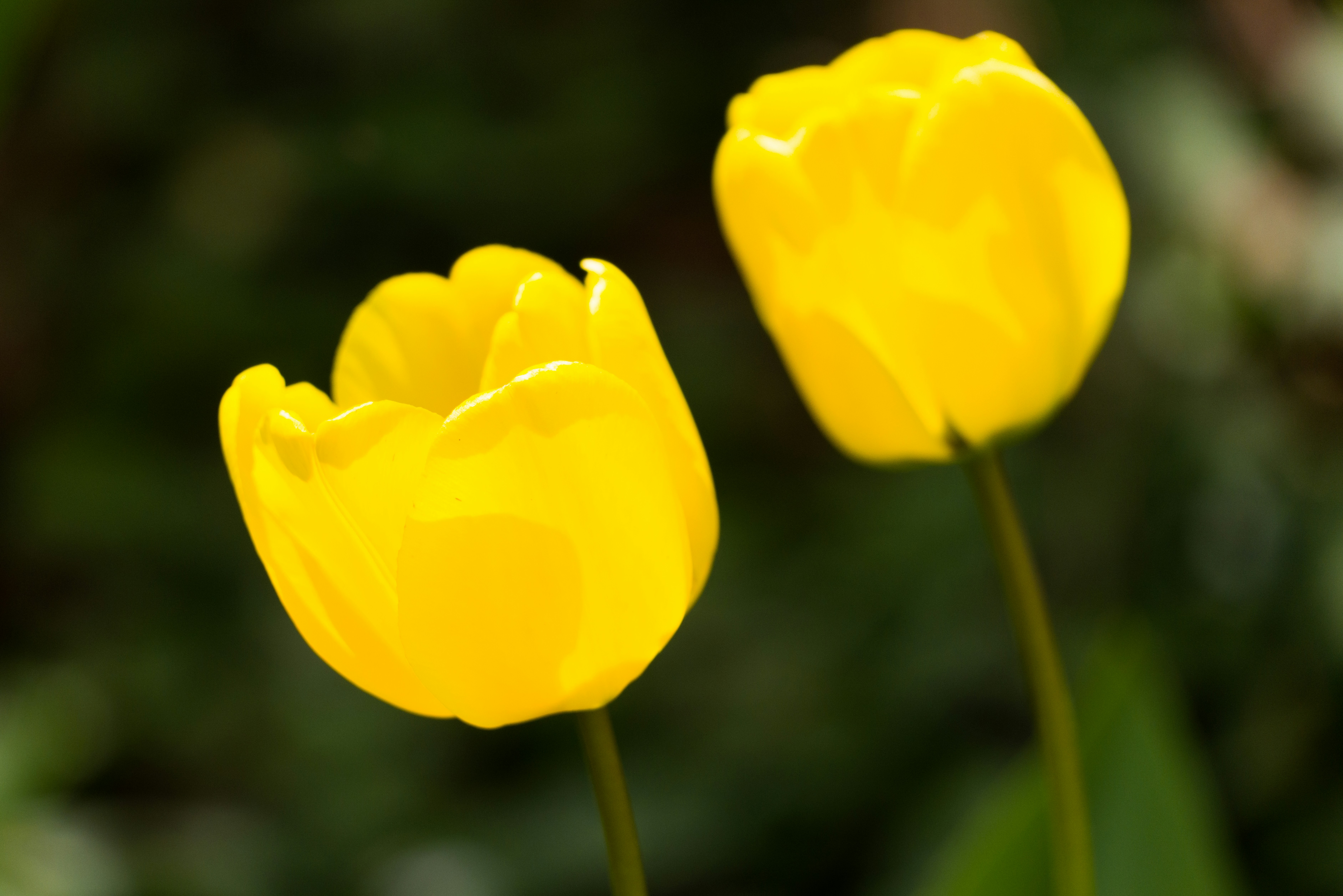 Photo by georgeiermann