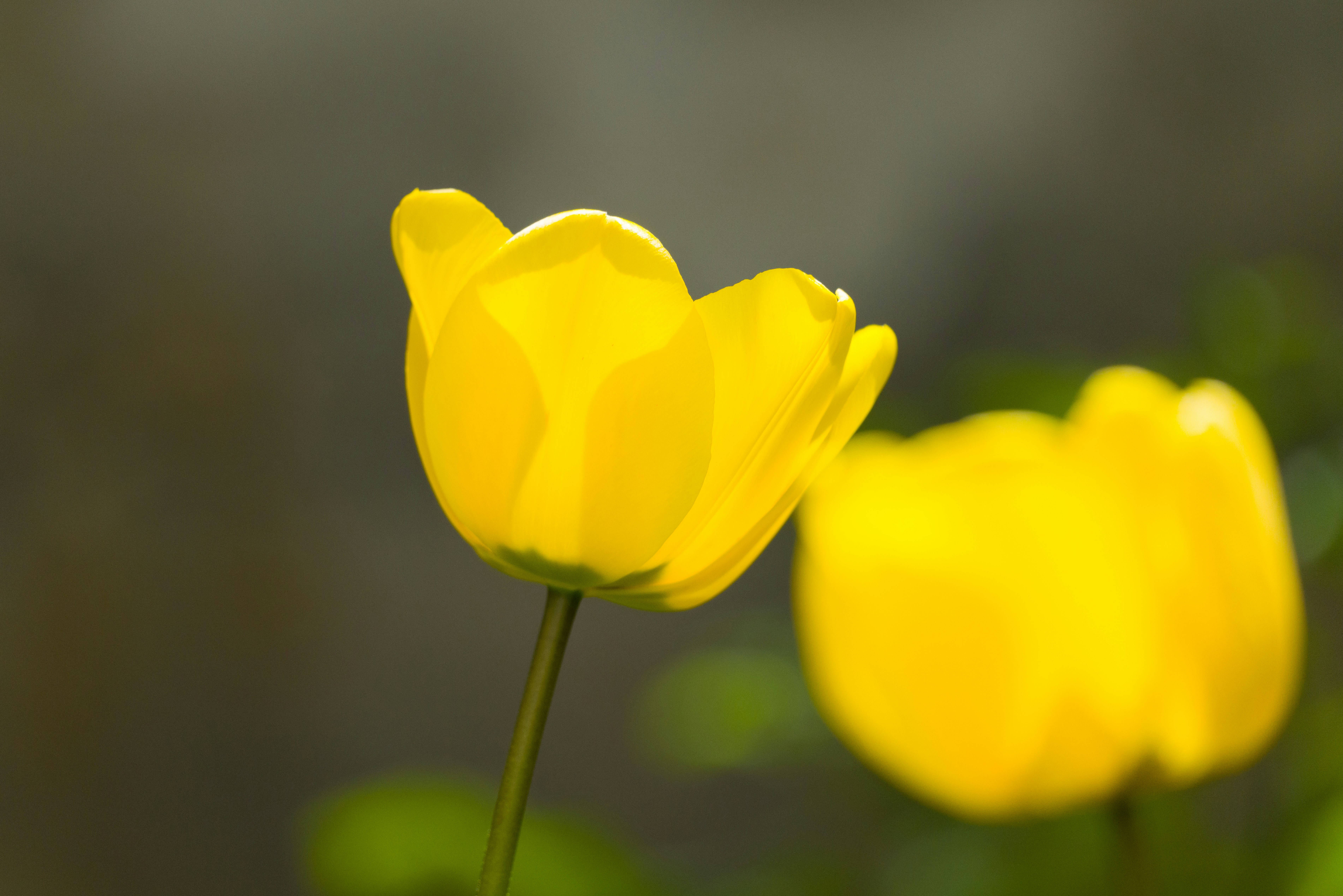 Photo by georgeiermann