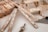 Assorted construction and woodworking tools arranged on a surface, including a folding ruler, a paintbrush with visible paint splatters, a small wooden stool or framework, a triangular ruler, a pencil, and a key. The objects appear well-used, suggesting frequent usage in woodworking or DIY projects.