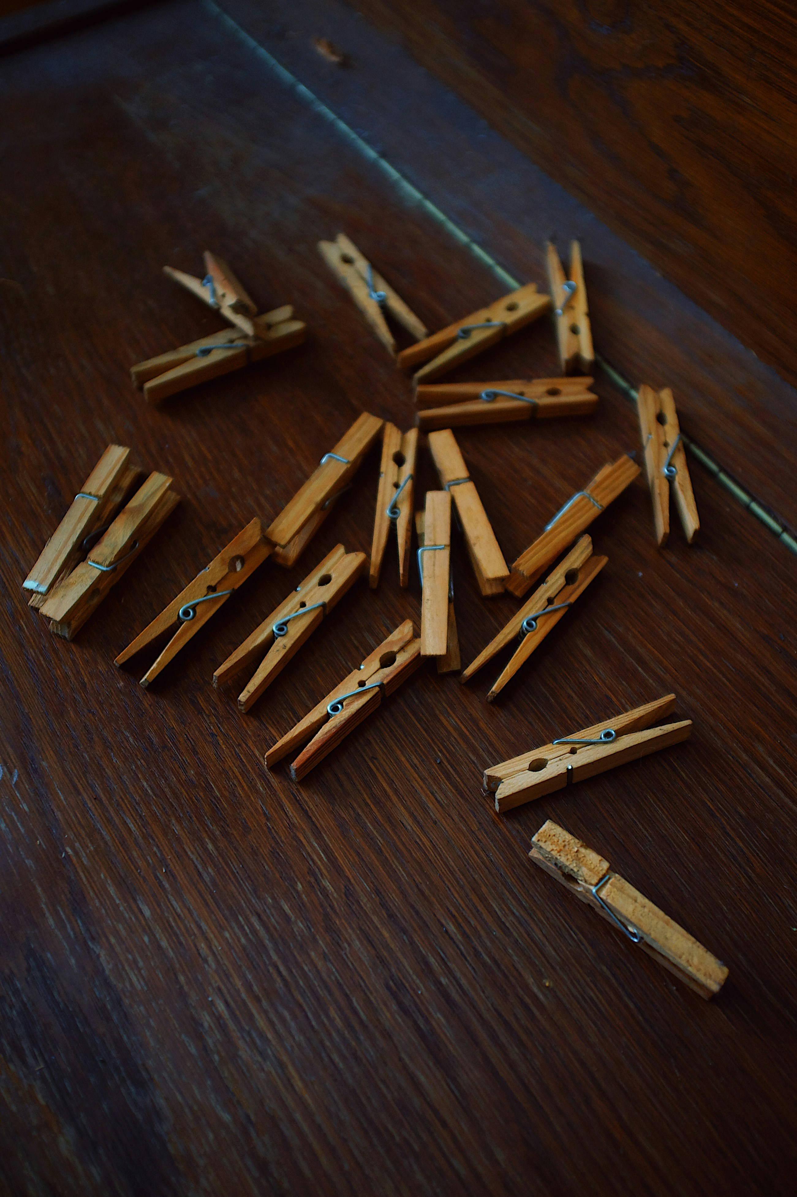 Ceylon Cinnamon Quills