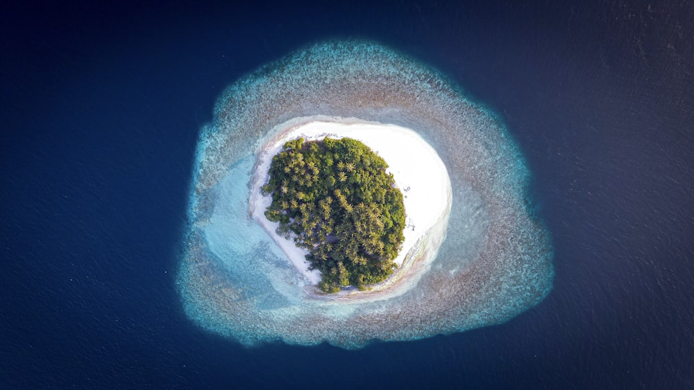 海の真ん中にある小さな島