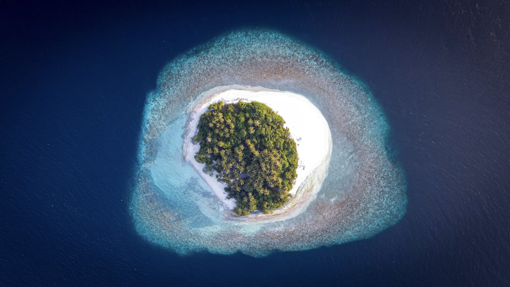 a small island in the middle of the ocean