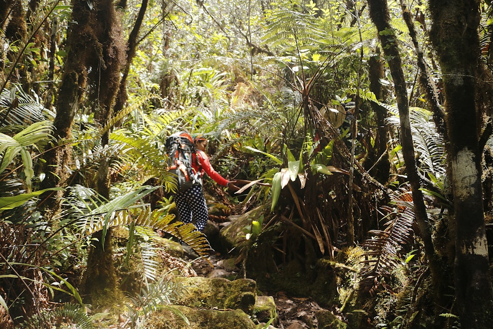 a woman hiking through a lush green forest