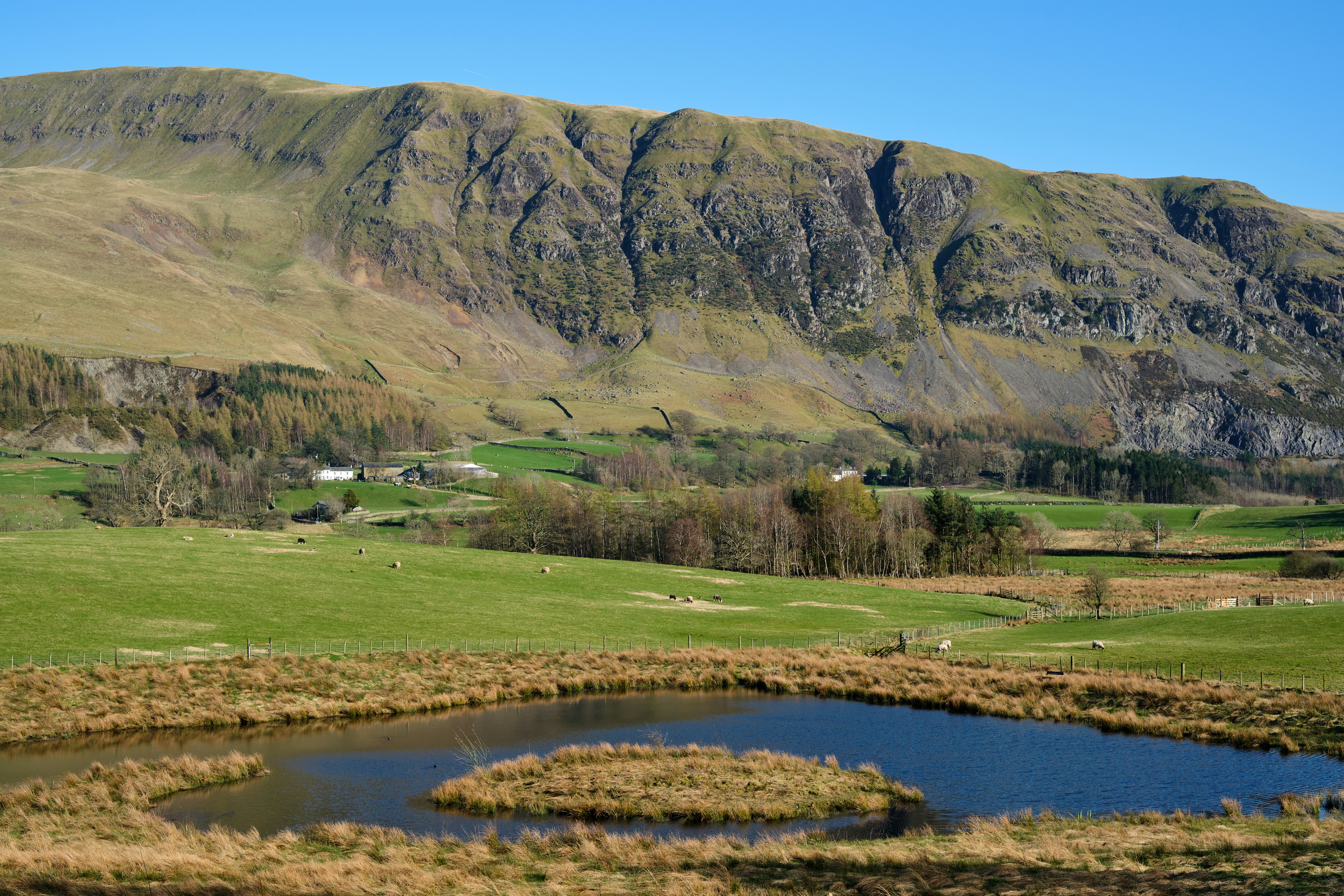 Photo by frostroomhead