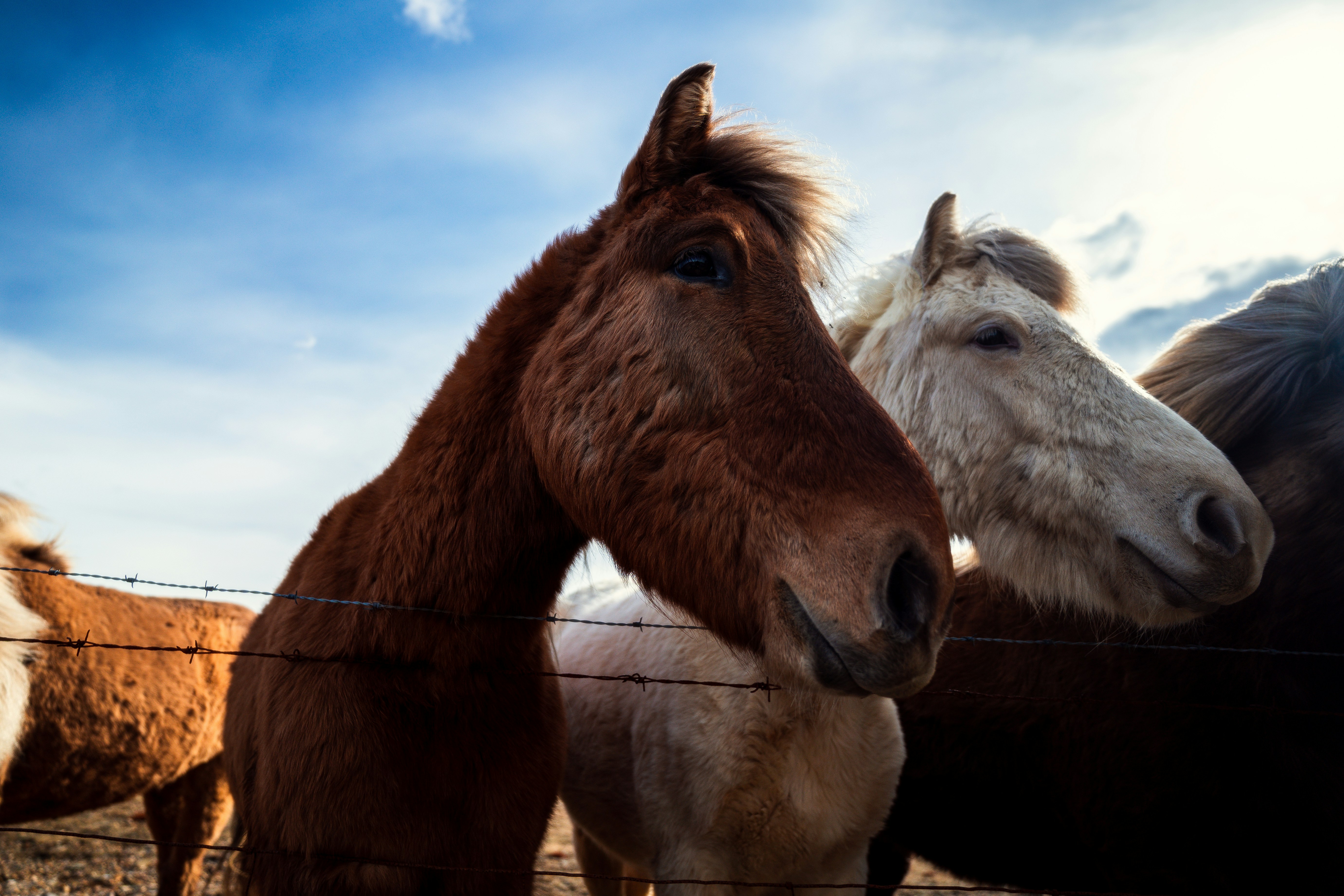 Photo by beckerworks