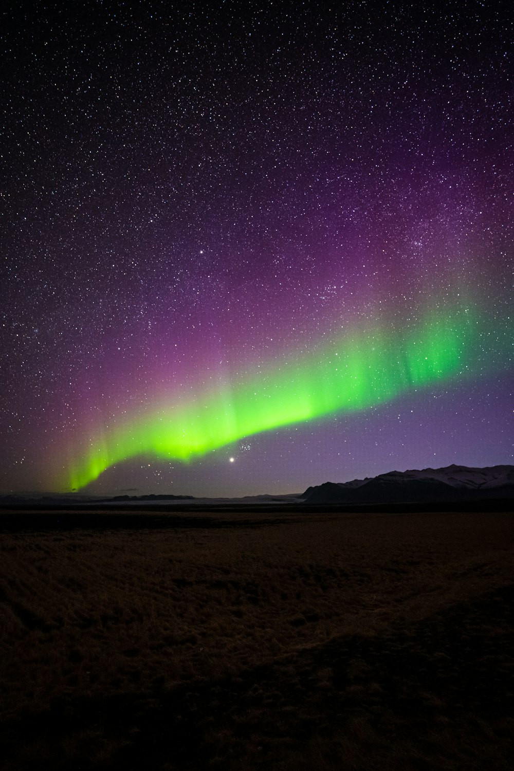 a bright green and purple aurora bore in the night sky
