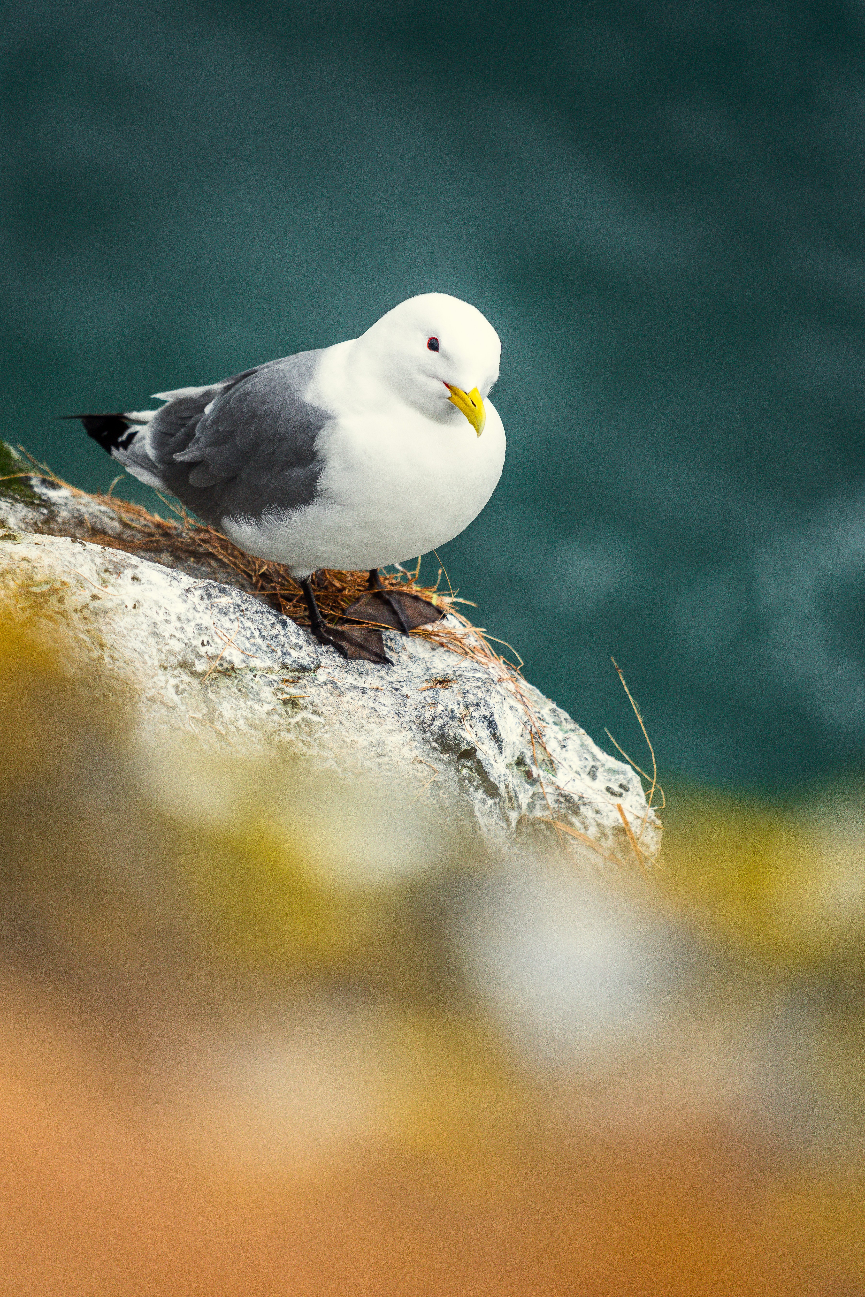 Photo by beckerworks