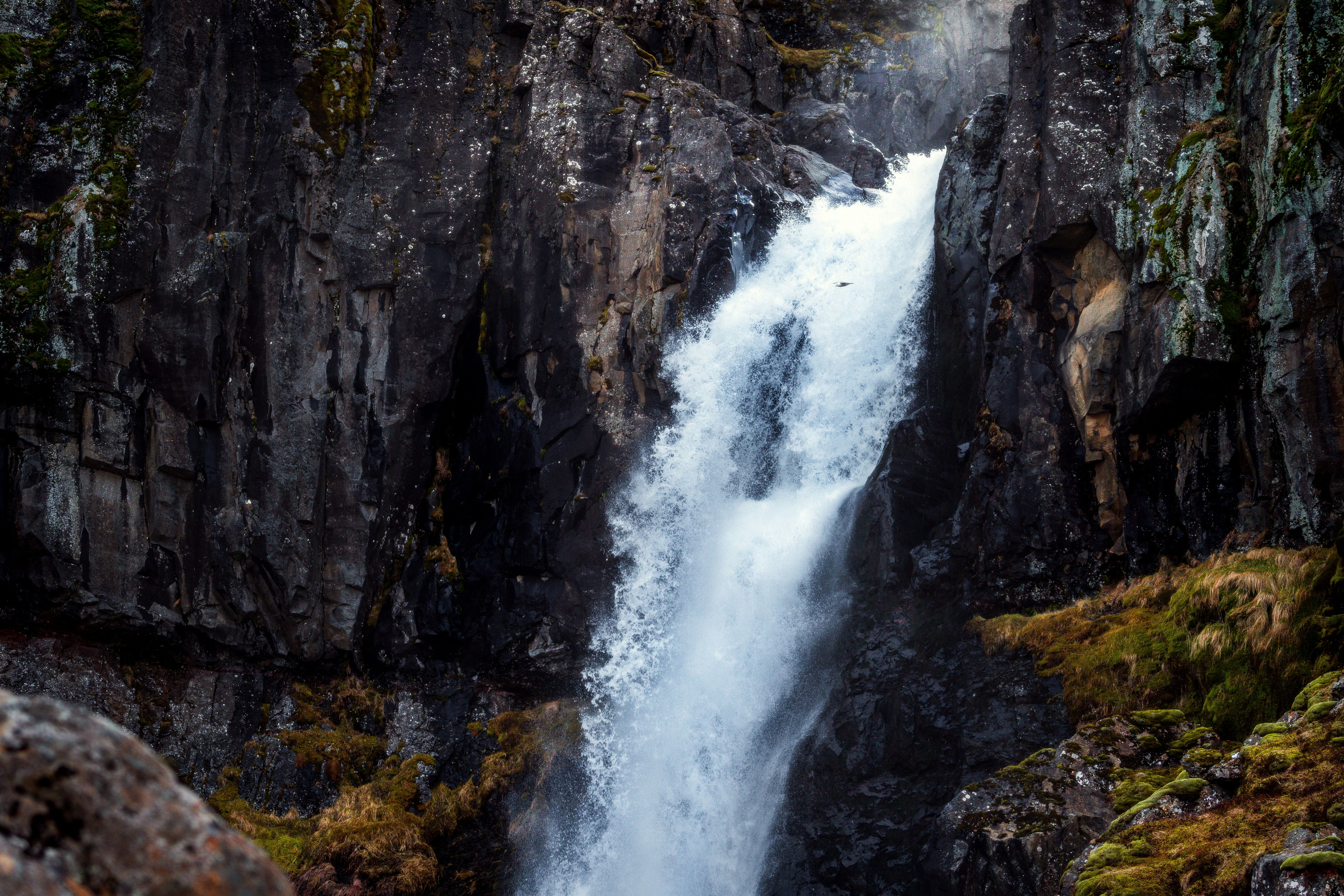 Photo by beckerworks