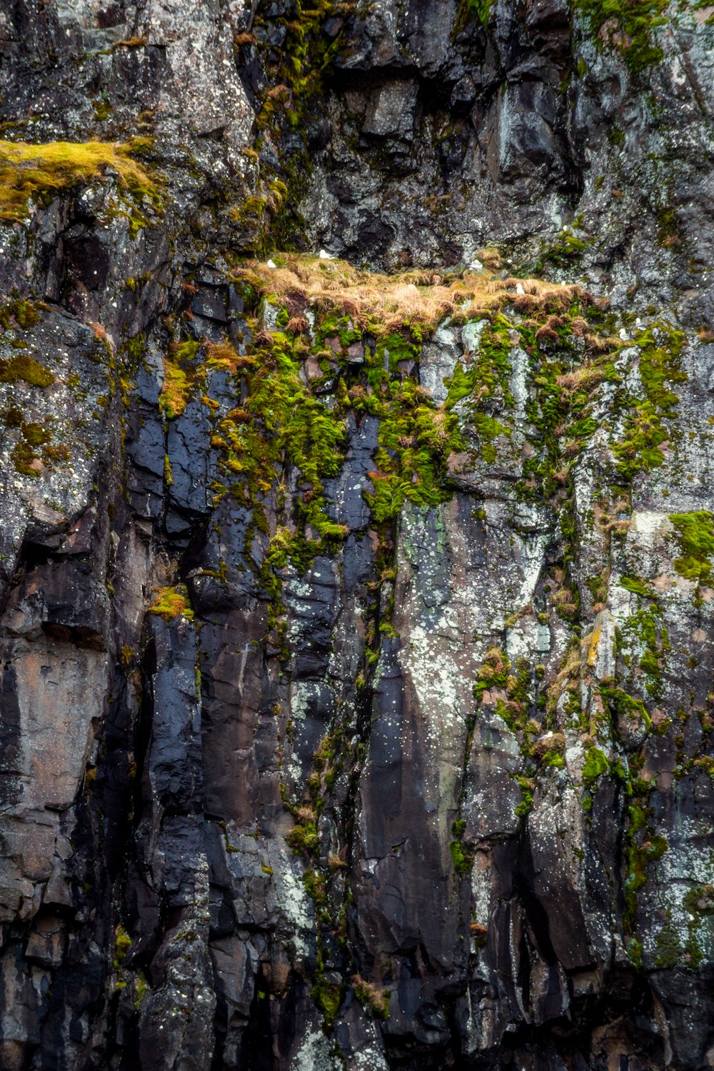 a mountain side with moss growing on the rocks